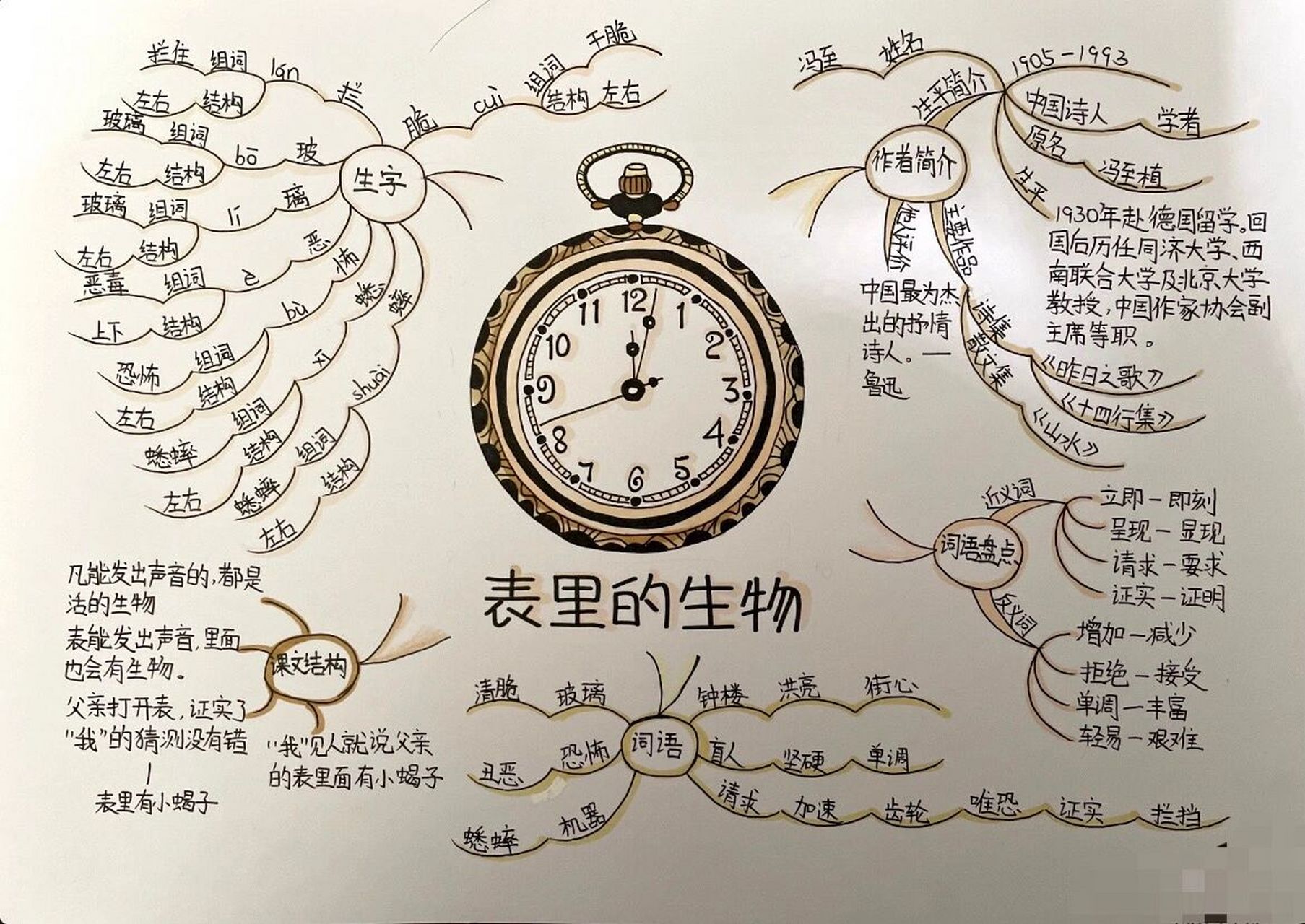 表里的生物思维导图