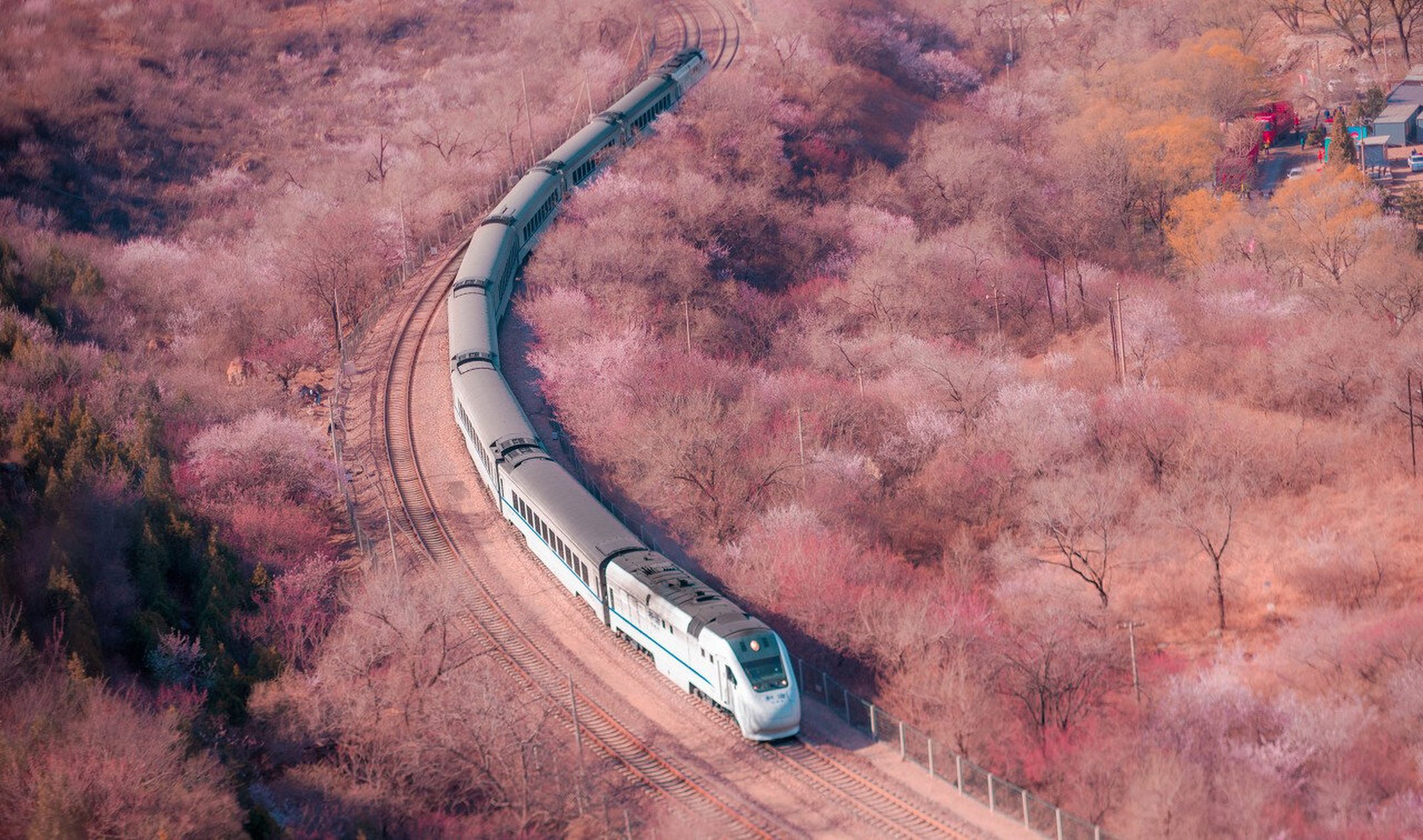 开往春天的列车08居庸关花海栈道开放啦94 居庸关花海栈道免费