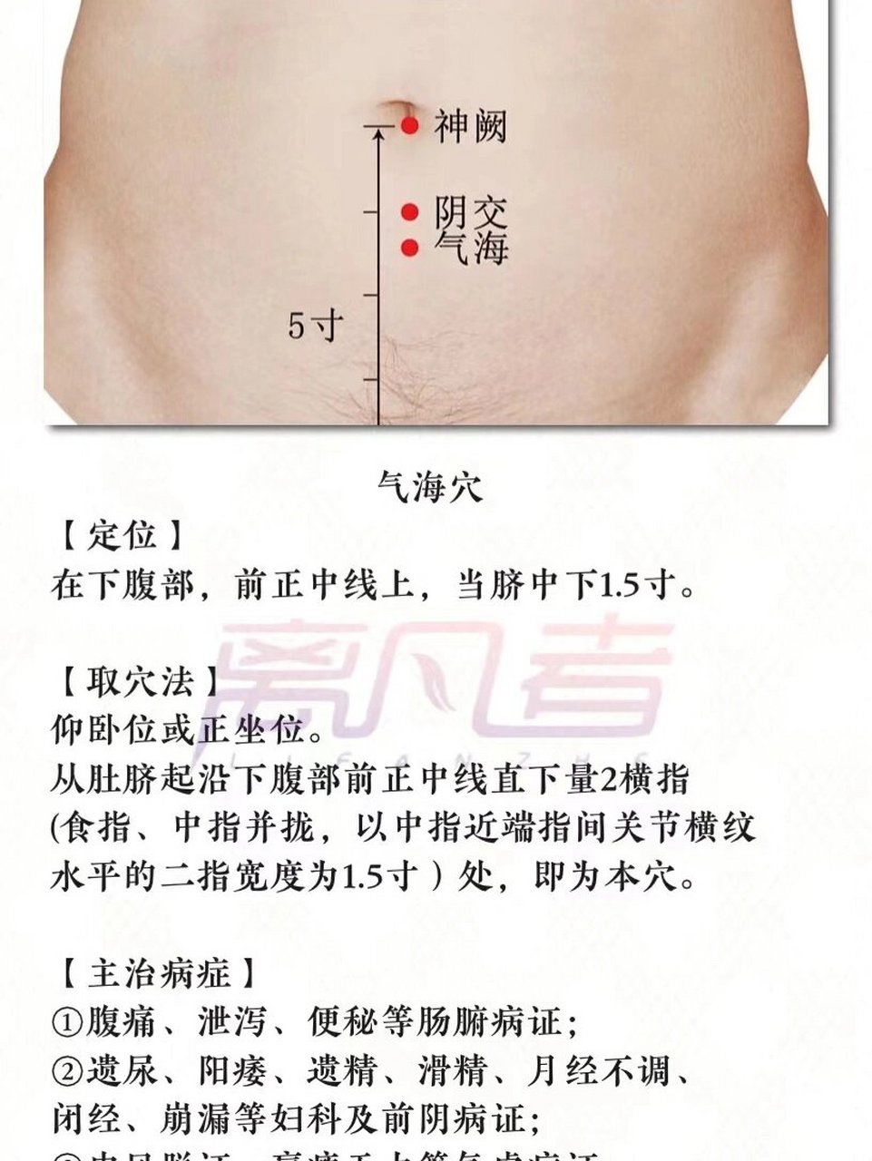 20220220 每日健康分享～气海穴 中医特别喜欢用"海"字,气海,血海