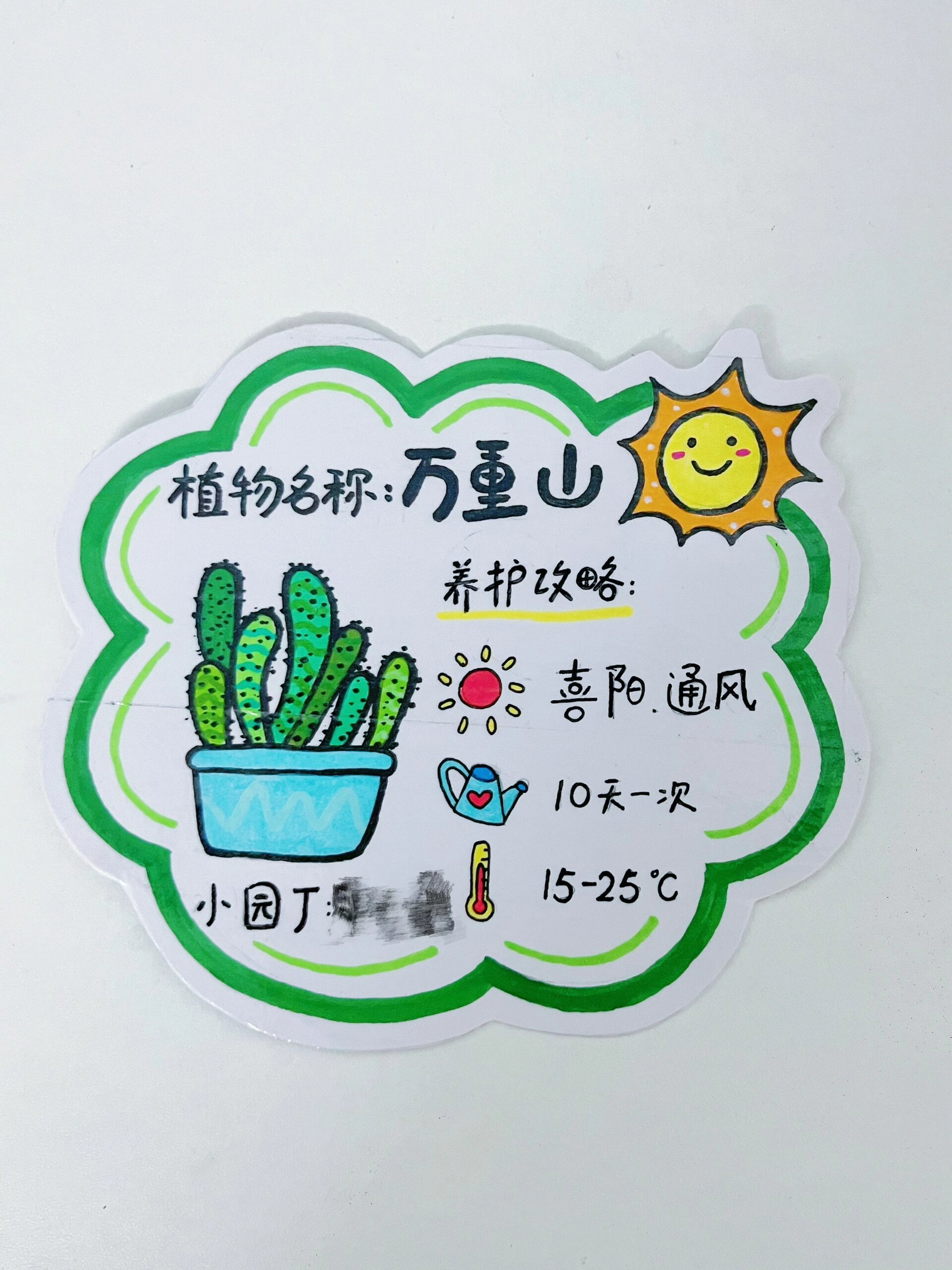 幼儿园植物养护卡分享
