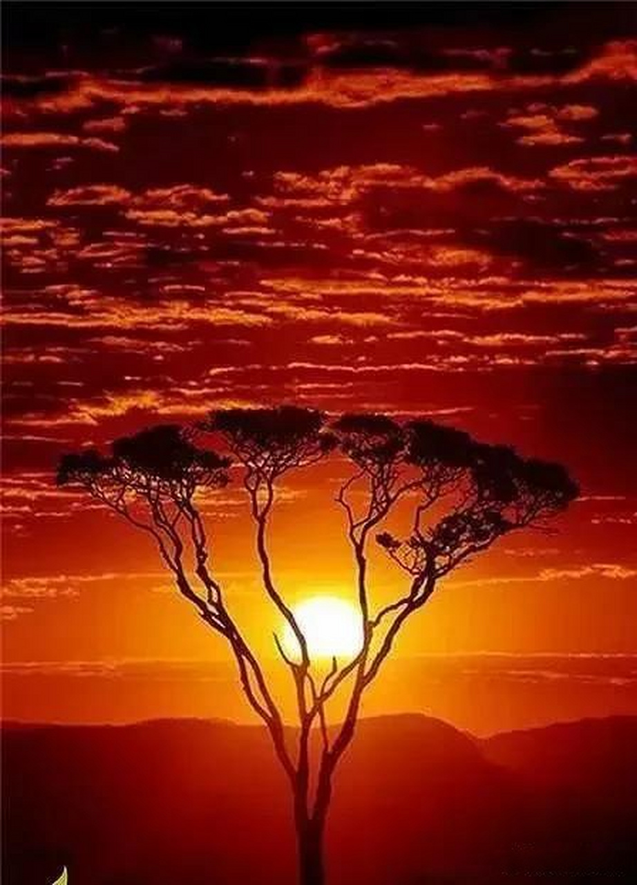 一切都会过去,一切都会成为往事.