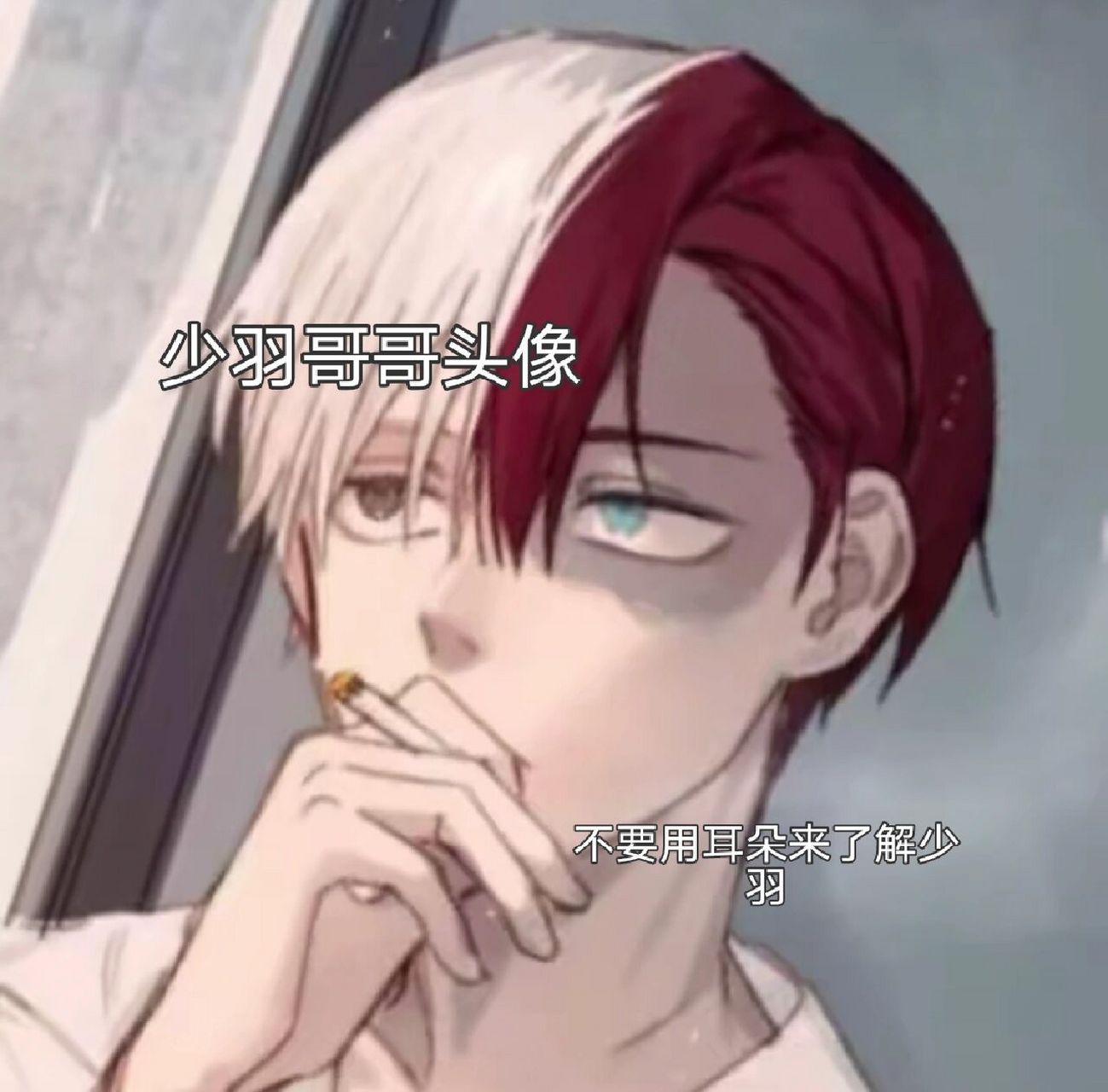 少羽哥哥头像 少羽哥哥头像