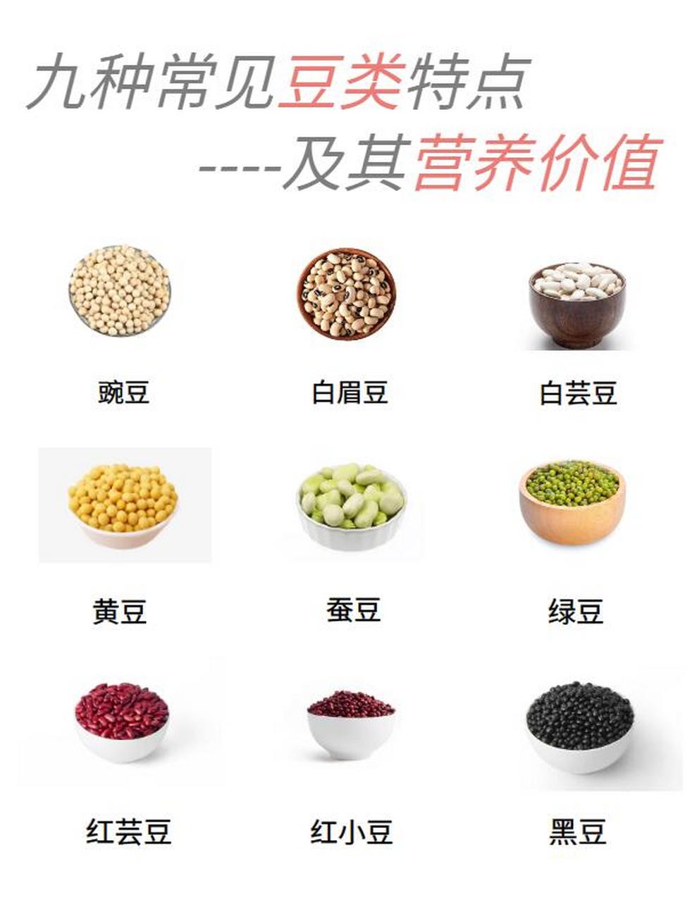 豆类食物有哪些常吃图片