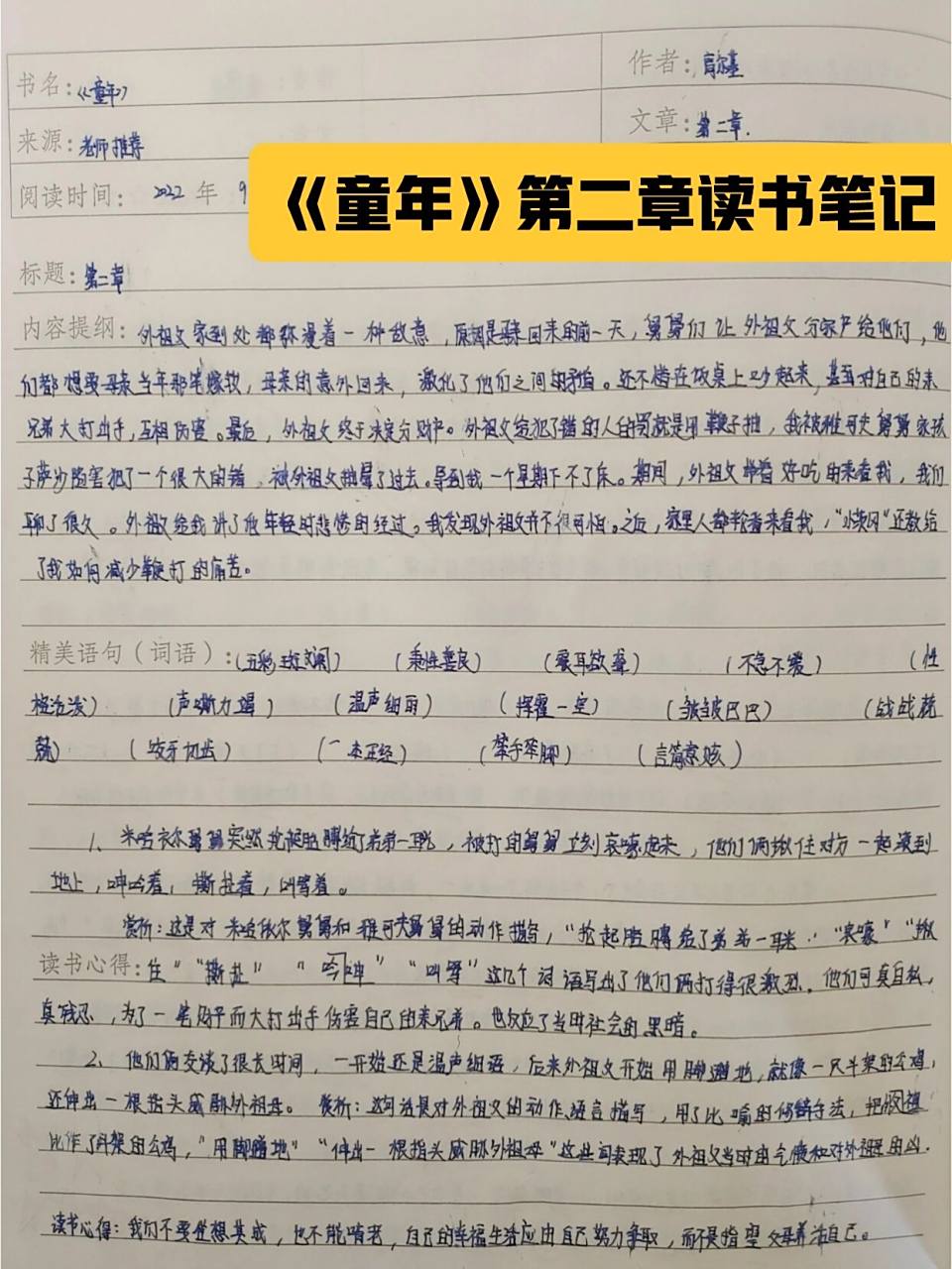《童年》第二章读书笔记,有赏析,感想!