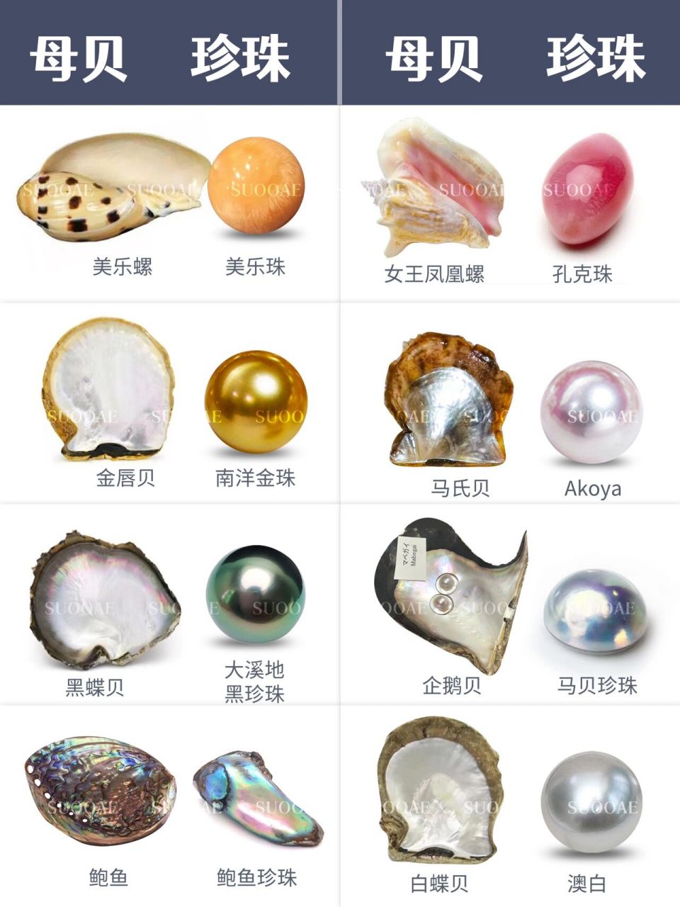 吐血整理7515 一篇看懂海水珍珠的分类,快 海水珍珠都有什么种类