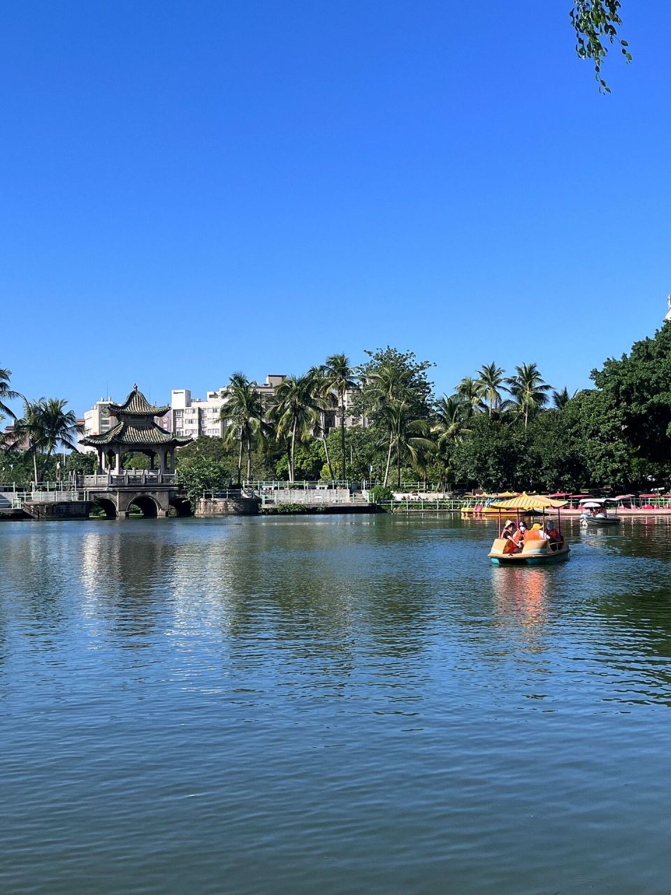 湛江———广东最美海边城市之一 9115总结:湛江三天两夜懒人攻略