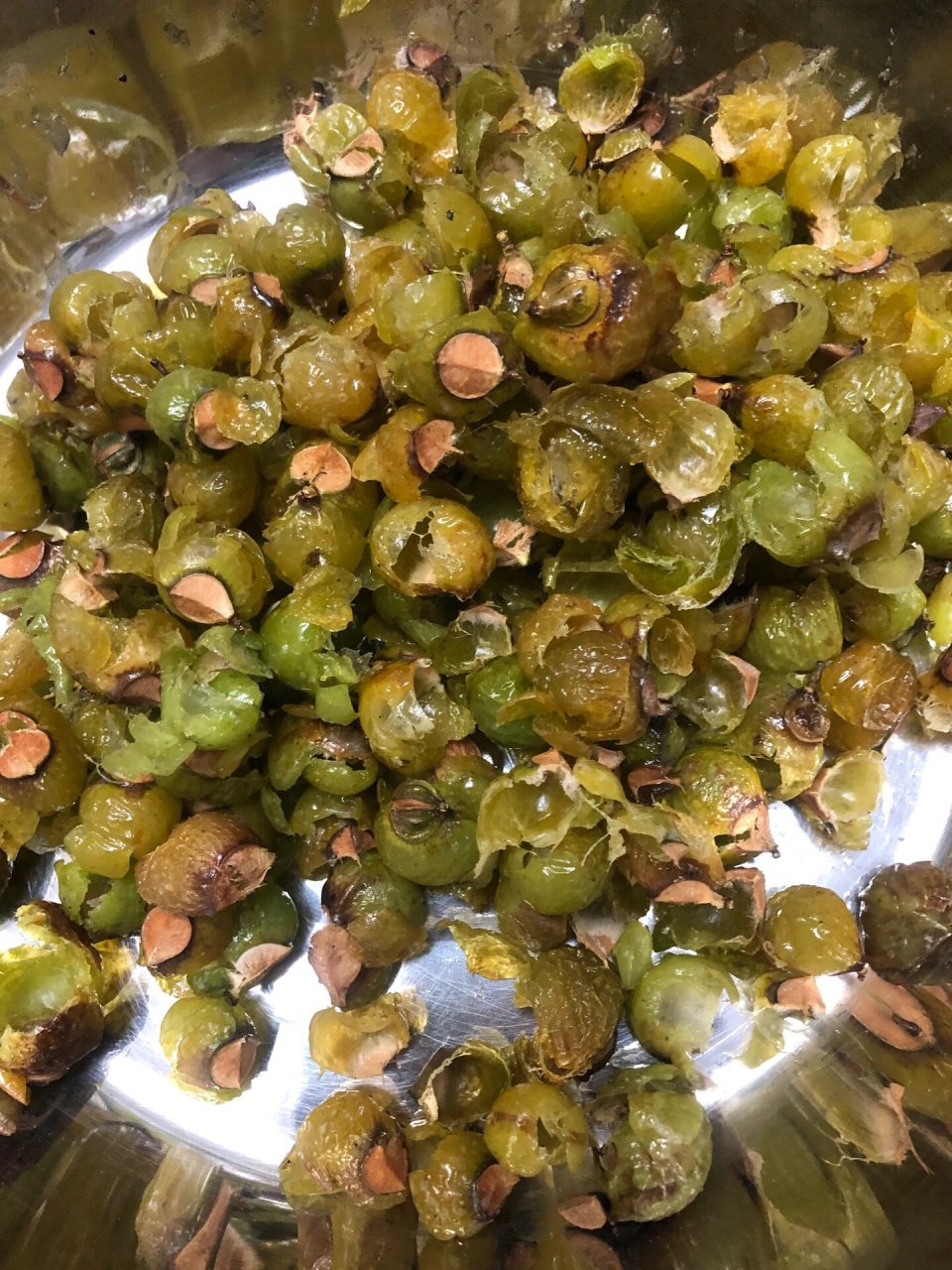 植物园南酸枣核,小区无患子树 ,第一次尝试打孔串手串,好玩