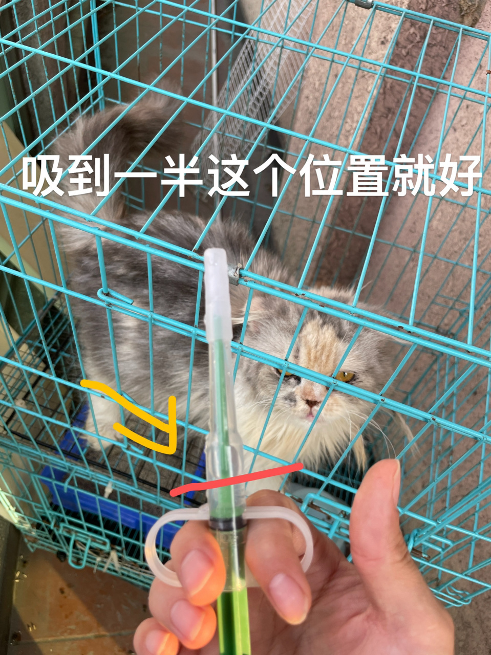 宠物喂药器使用方法
