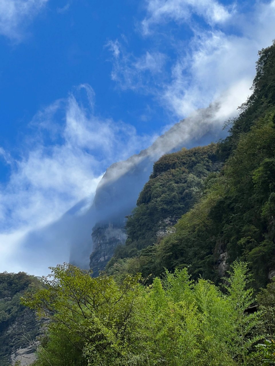 难得晴天的周末,临时决定去看看金口河大峡谷附近的白熊沟,拐进去别有