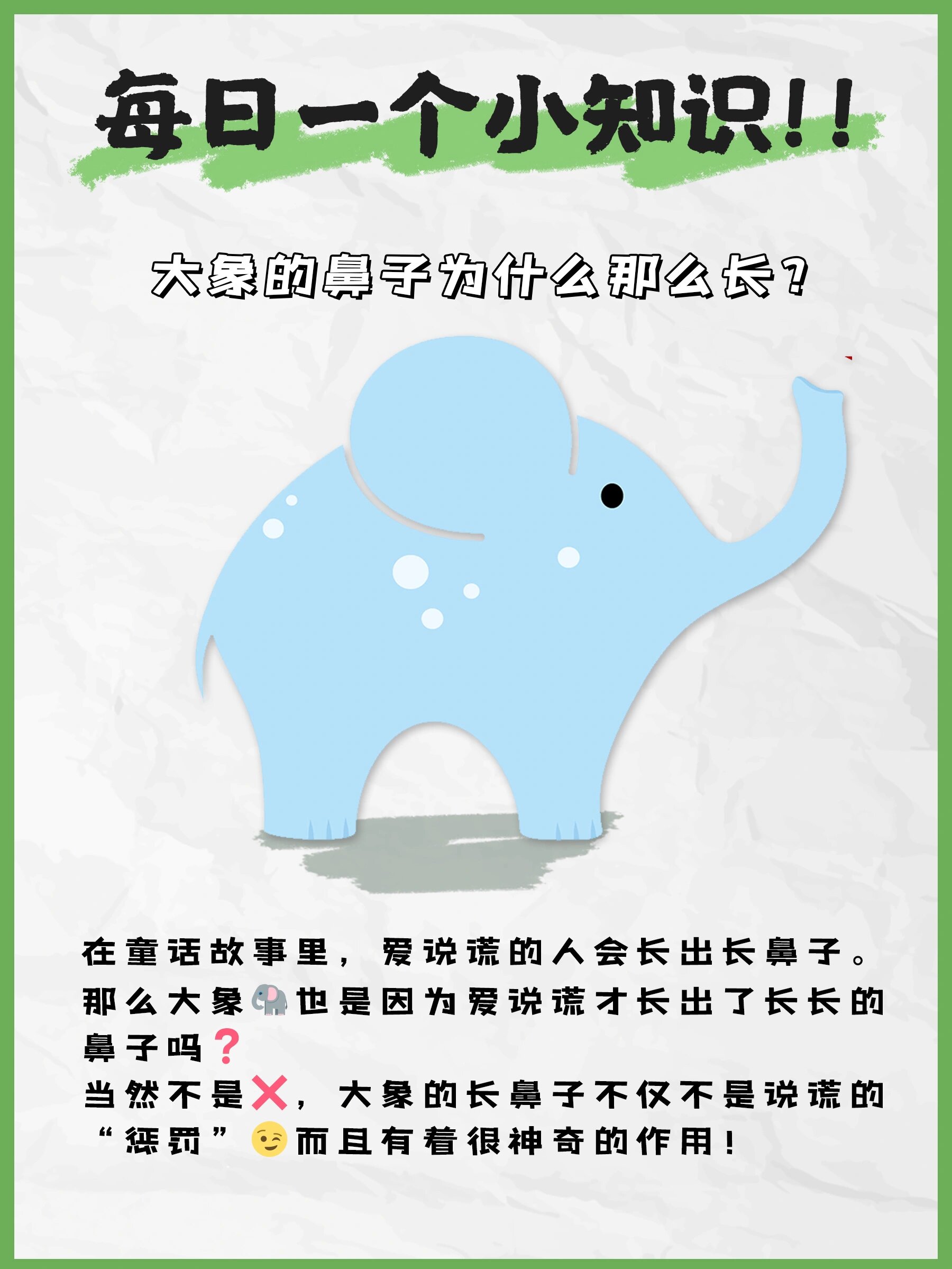 每日一问?大象的鼻子为什么那么长?