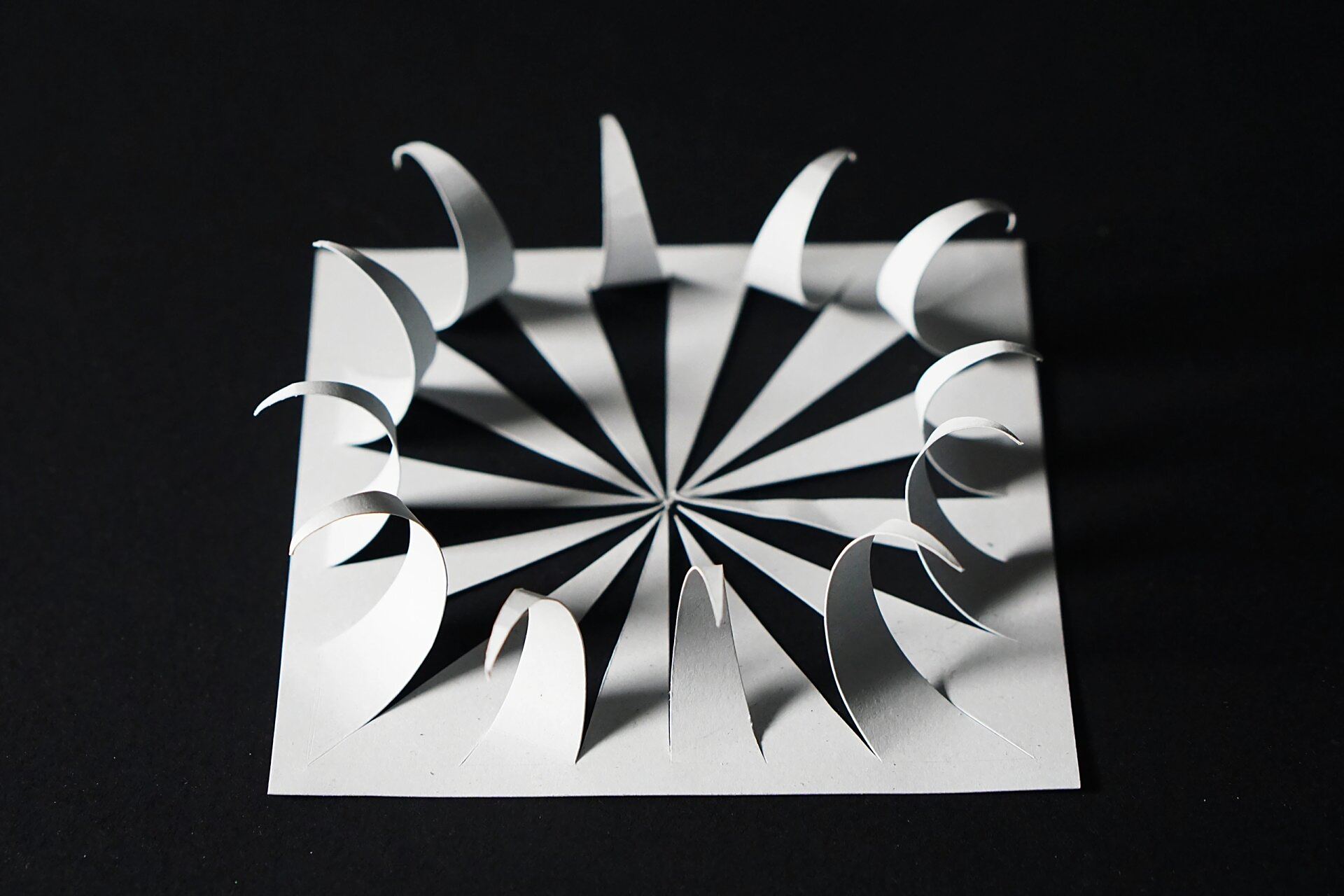 美术生96|半立体构成多切多折分享 听说大家都想要更清晰的多切多折