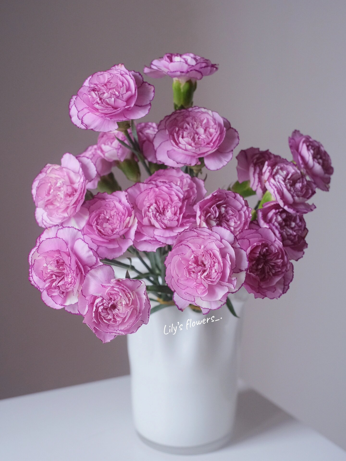 紫霞仙子 康乃馨 渐变紫的感觉 有些花瓣还会有白色 放在哪里都是扎眼