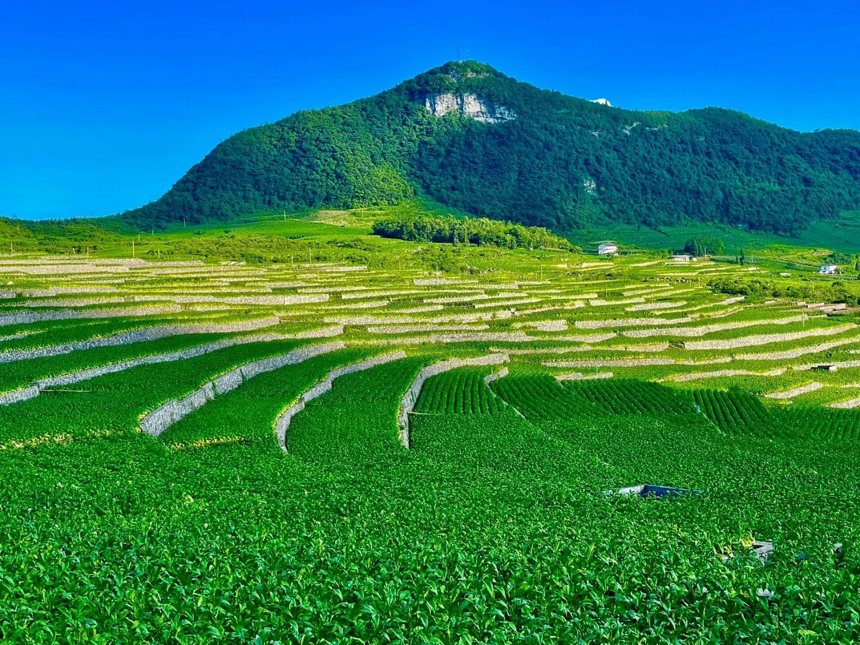 贵州道真避暑胜地