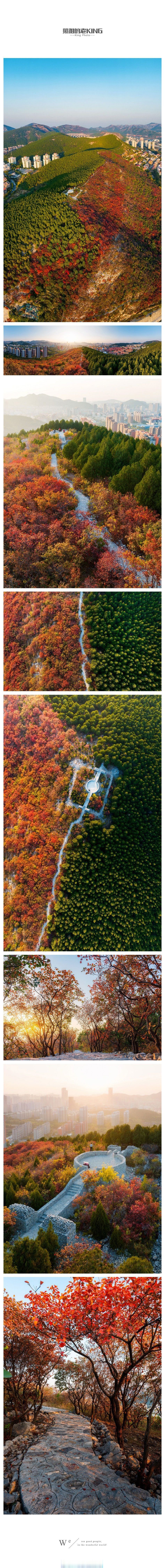 城市巡游记##秋游季# 平分秋色,快来蝎子山领取属于秋天的礼物via/n