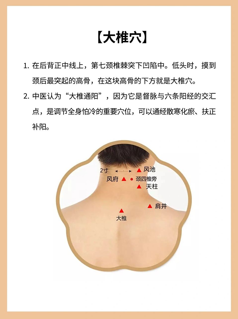 越低头,颈椎负重就越大,低到60度的时候,颈椎负重可高达54斤