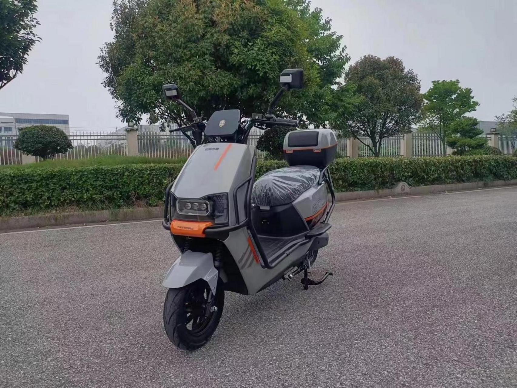 特莱维狮电动车