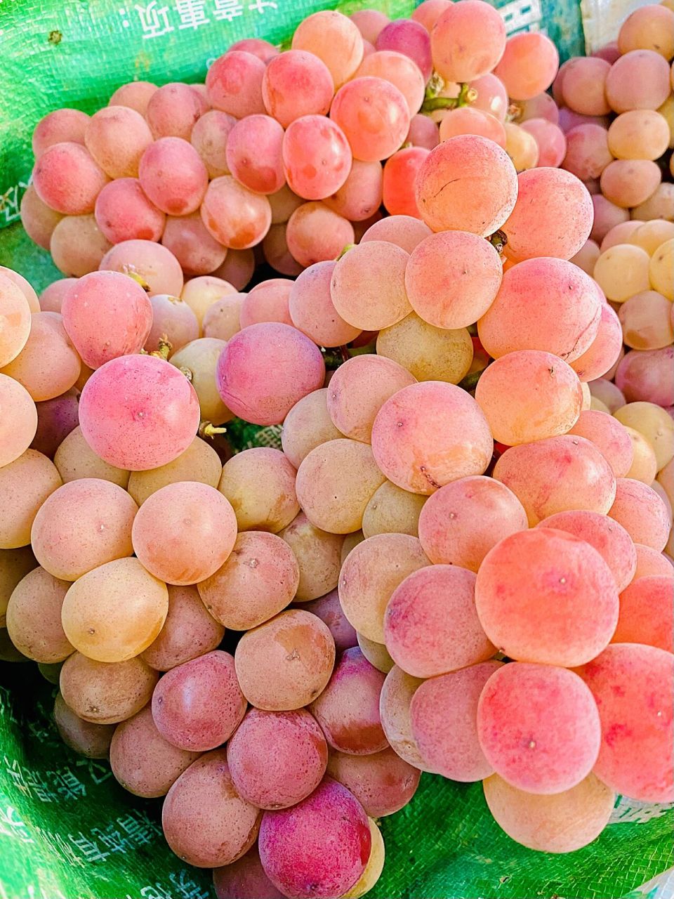 粉色葡萄 你们见过粉色的葡萄吗?咯～今天你就见到了,超甜!