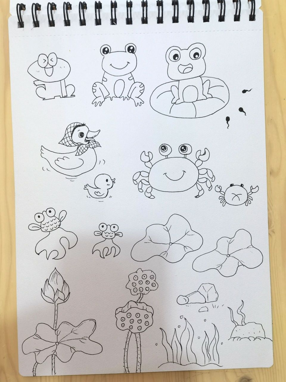 幼儿园小蝌蚪简笔画图片