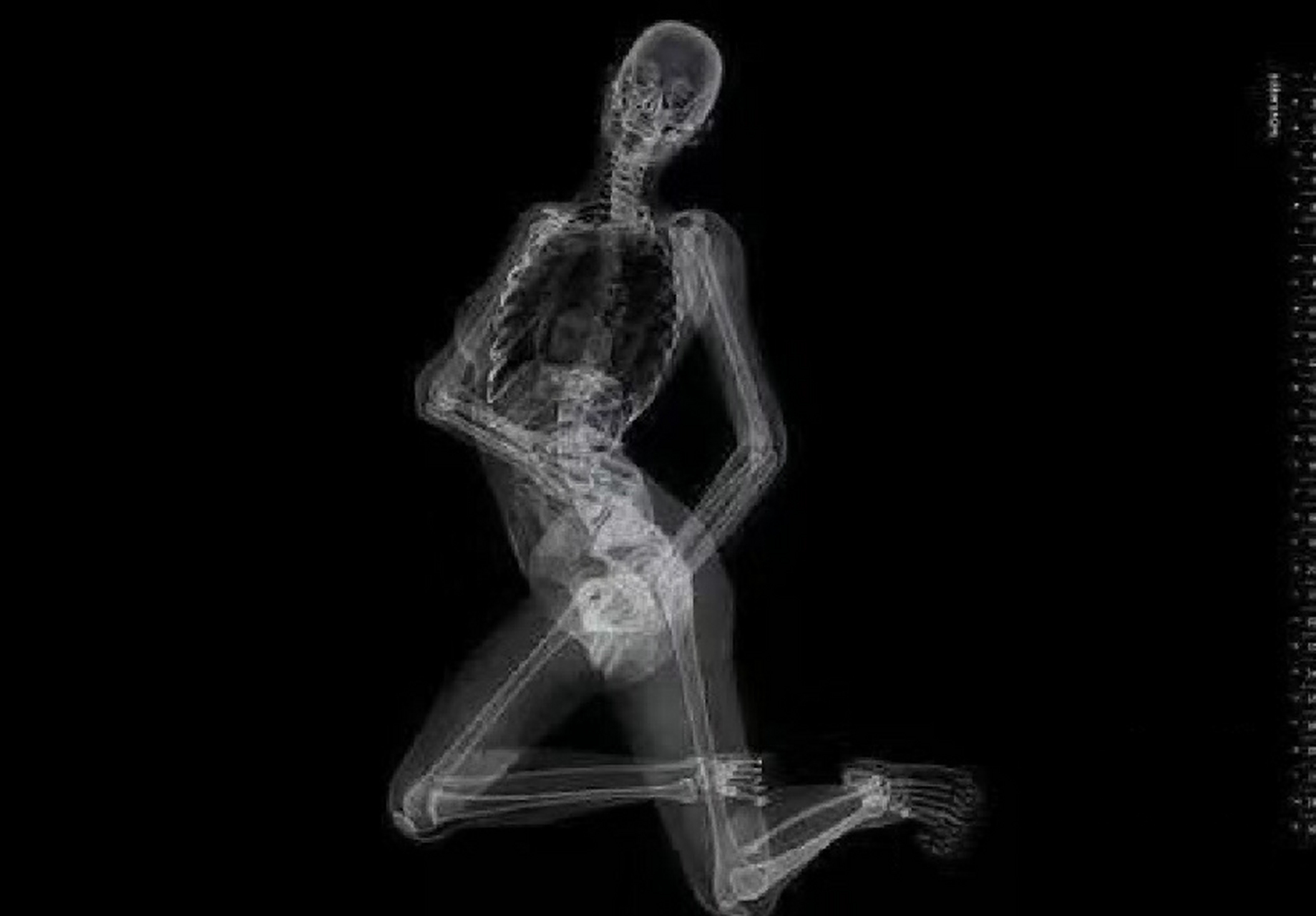 发几张非常"露骨"的图片