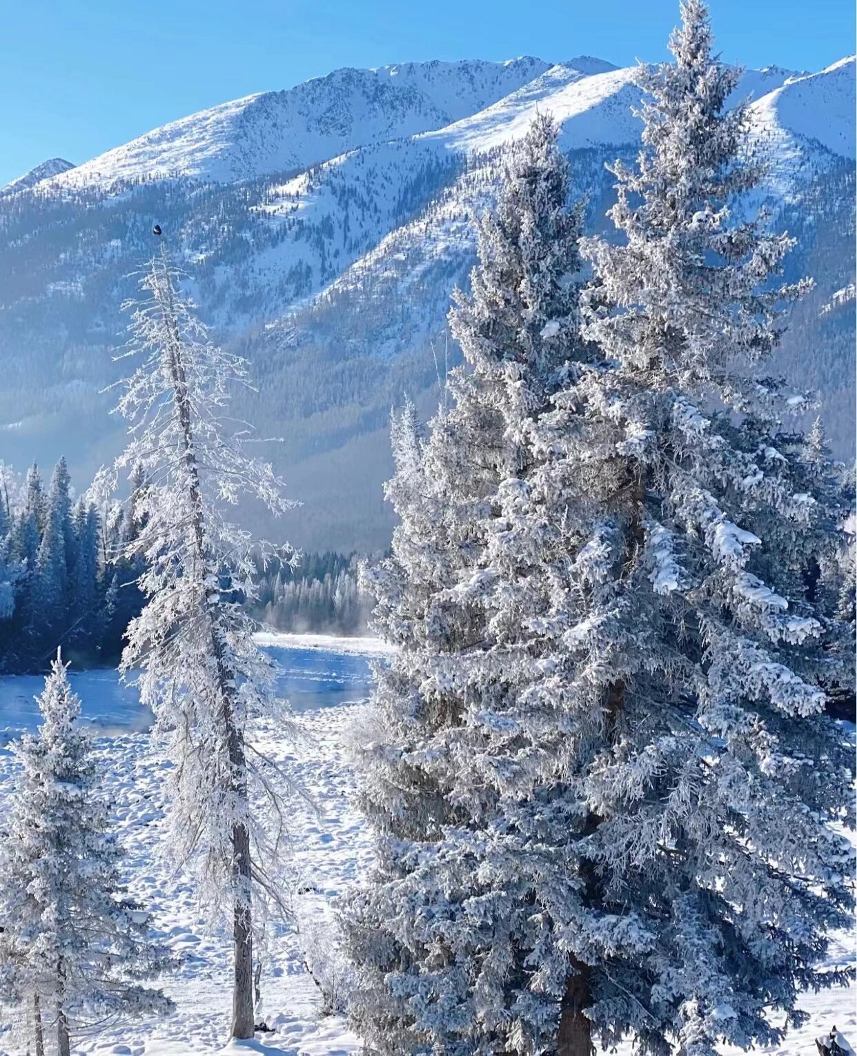 我发现自从出来圣诞主题,每天被问的zuni 多的就是怎么p窗外的雪景呀
