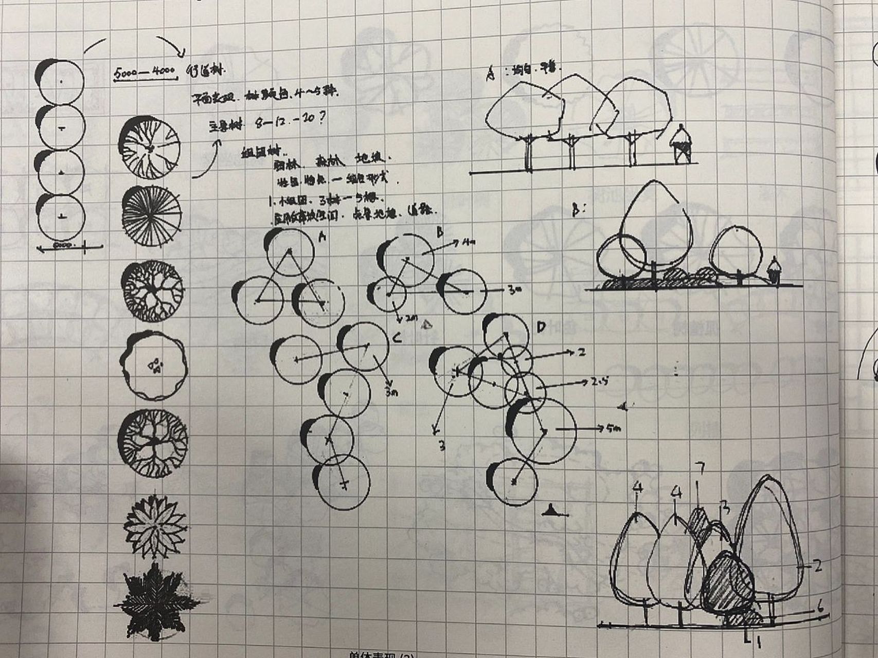 平面树种图例合集,别在平面图上犯错啦 考 对于严谨的环艺景观设计来