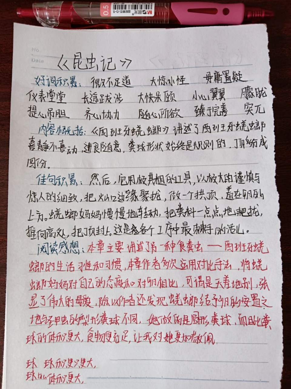《昆虫记》西班牙蜣螂 读书笔记 《昆虫记》西班牙蜣螂 读书笔记