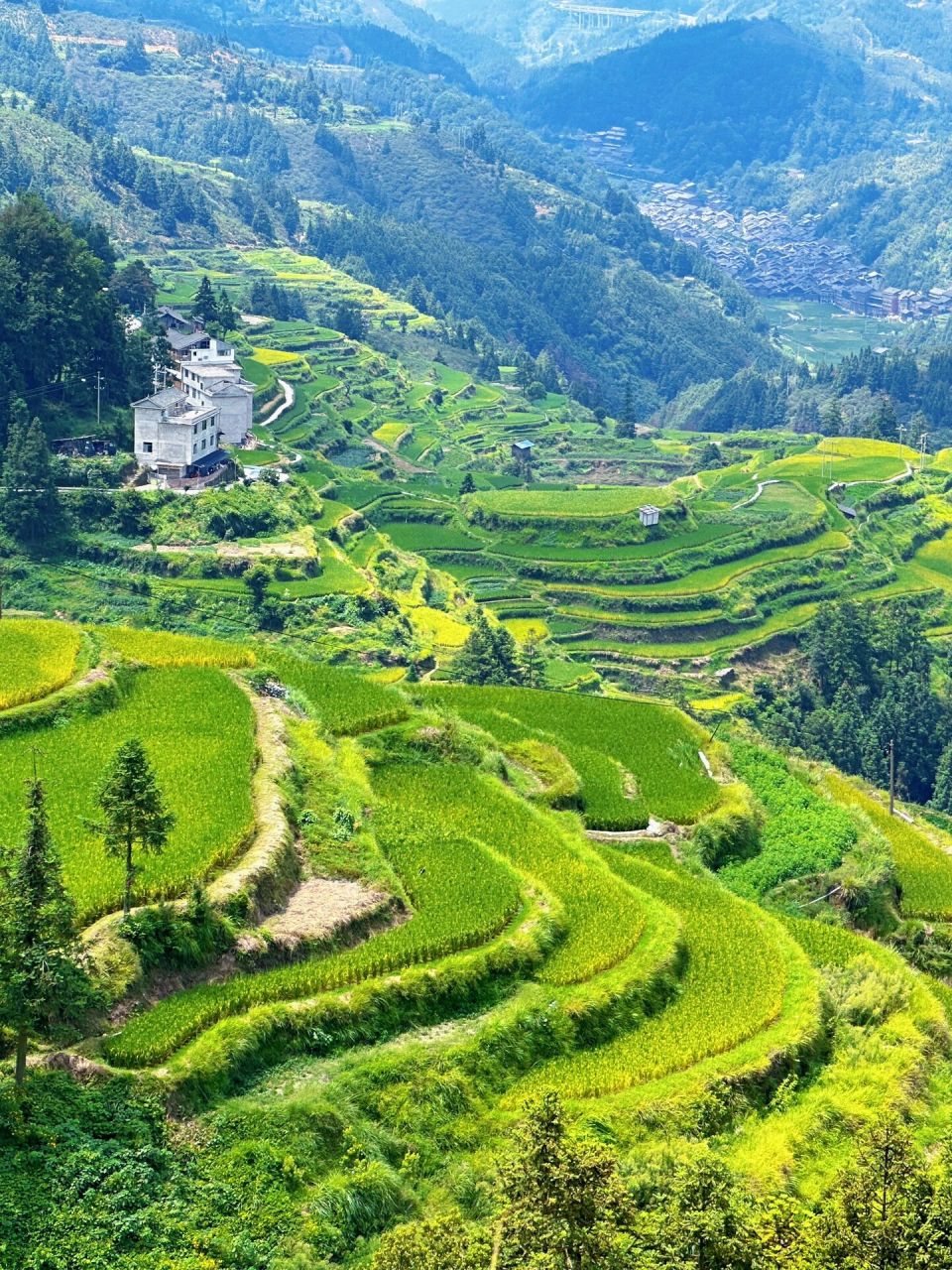 从贵州侗寨直接可以到达的梯田,还是非常小众人也比较少,是个看日落的