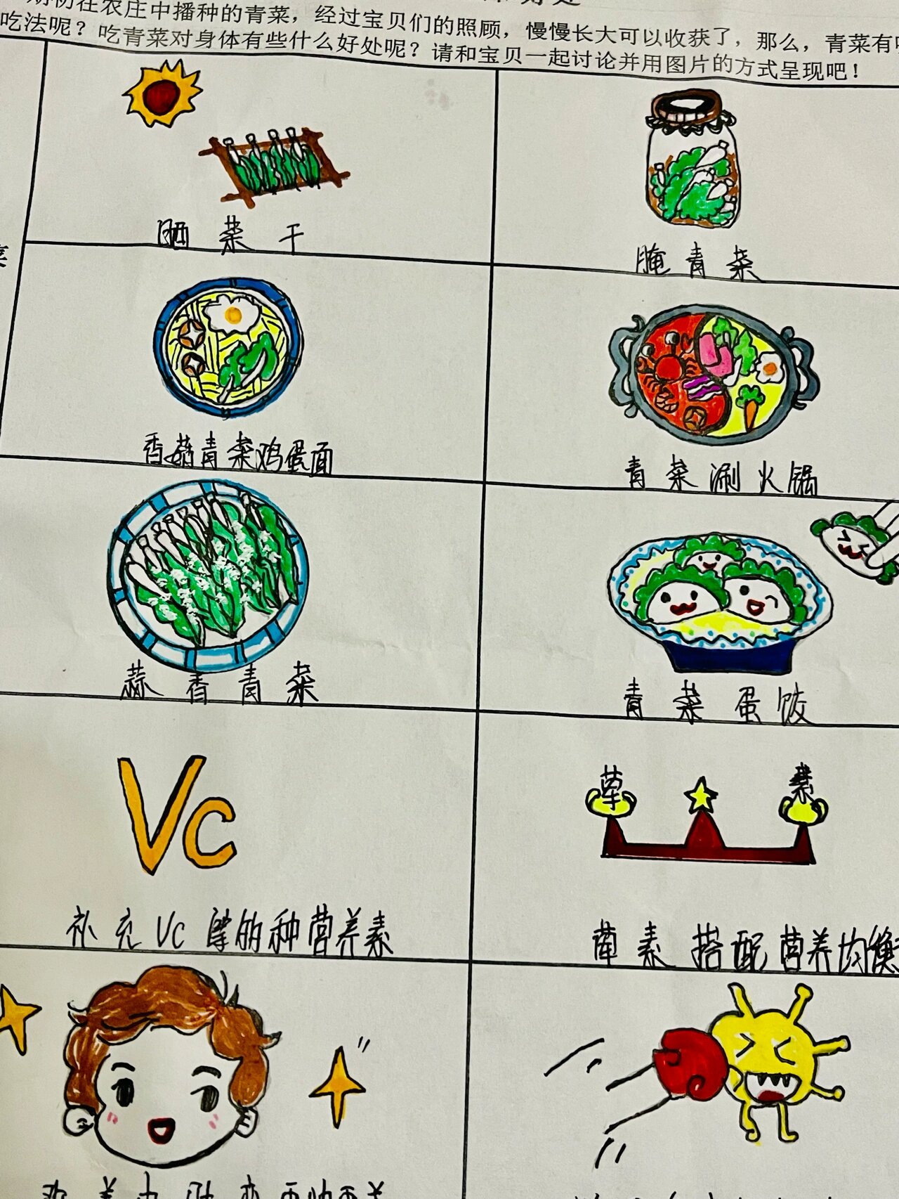 幼儿园作业|青菜萝卜|蔬菜小调查|菜简笔画