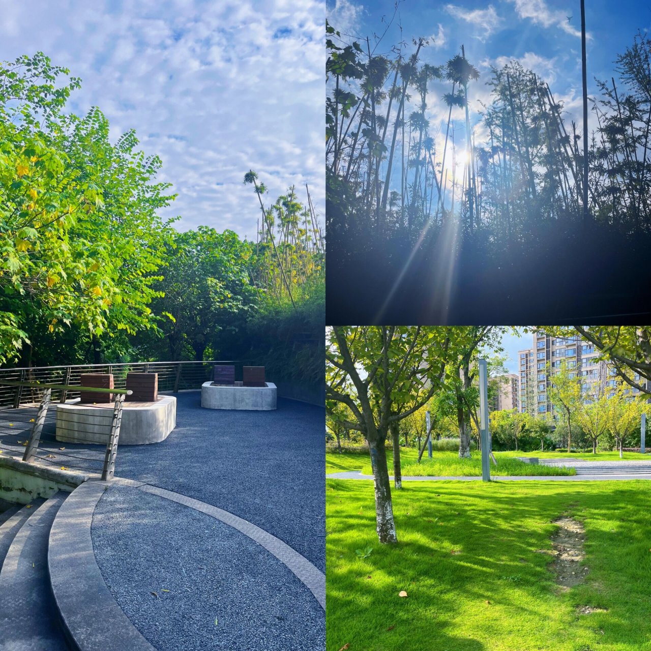 又发现一宝藏公园|铁佛公园 99:铁佛公园 99: 武侯区-福锦路1段