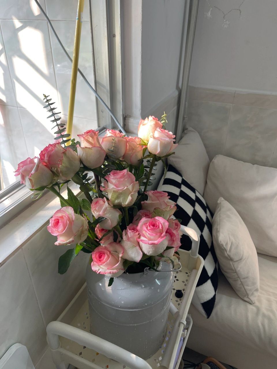 鲜花98真心可以带来好的心情 今天的好心情就是家里新添了一些生命