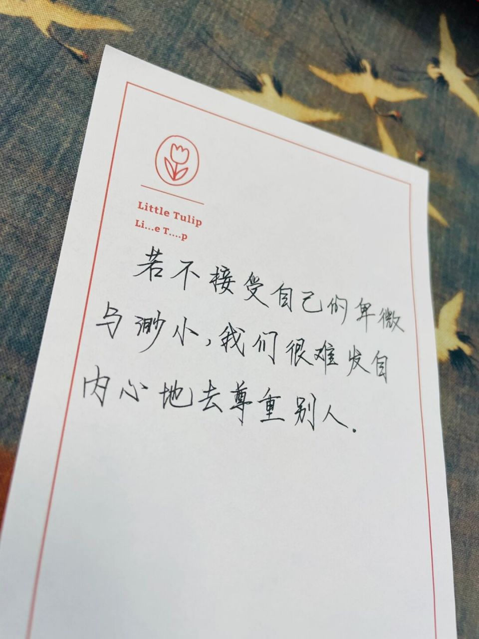 文笔提升|罗翔老师经典语录,句句醍醐灌顶 96拥有千万粉丝的罗翔