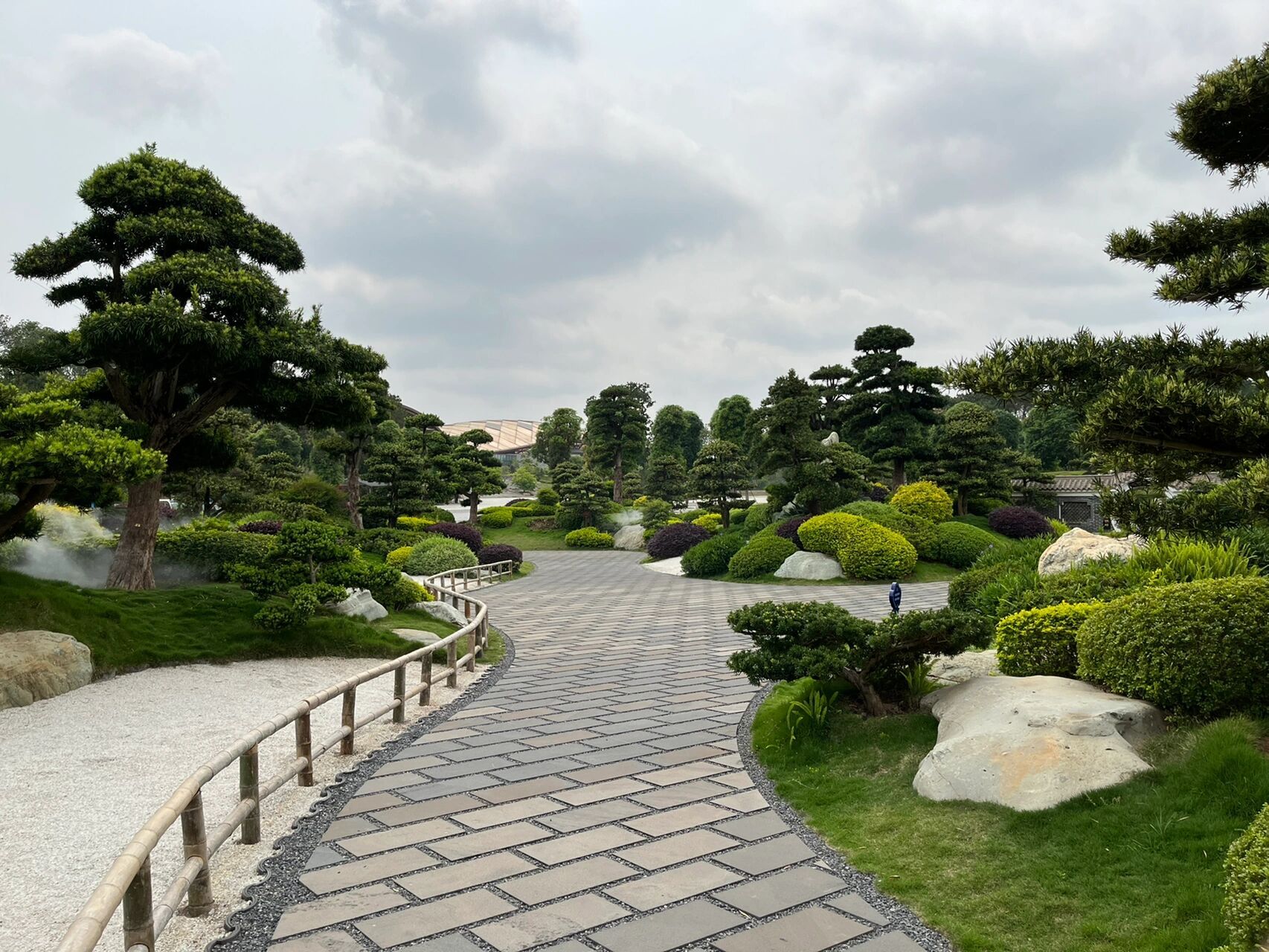 中国南方最大的罗汉松园    *任我行 南宁园博园的精华所在:罗汉松园