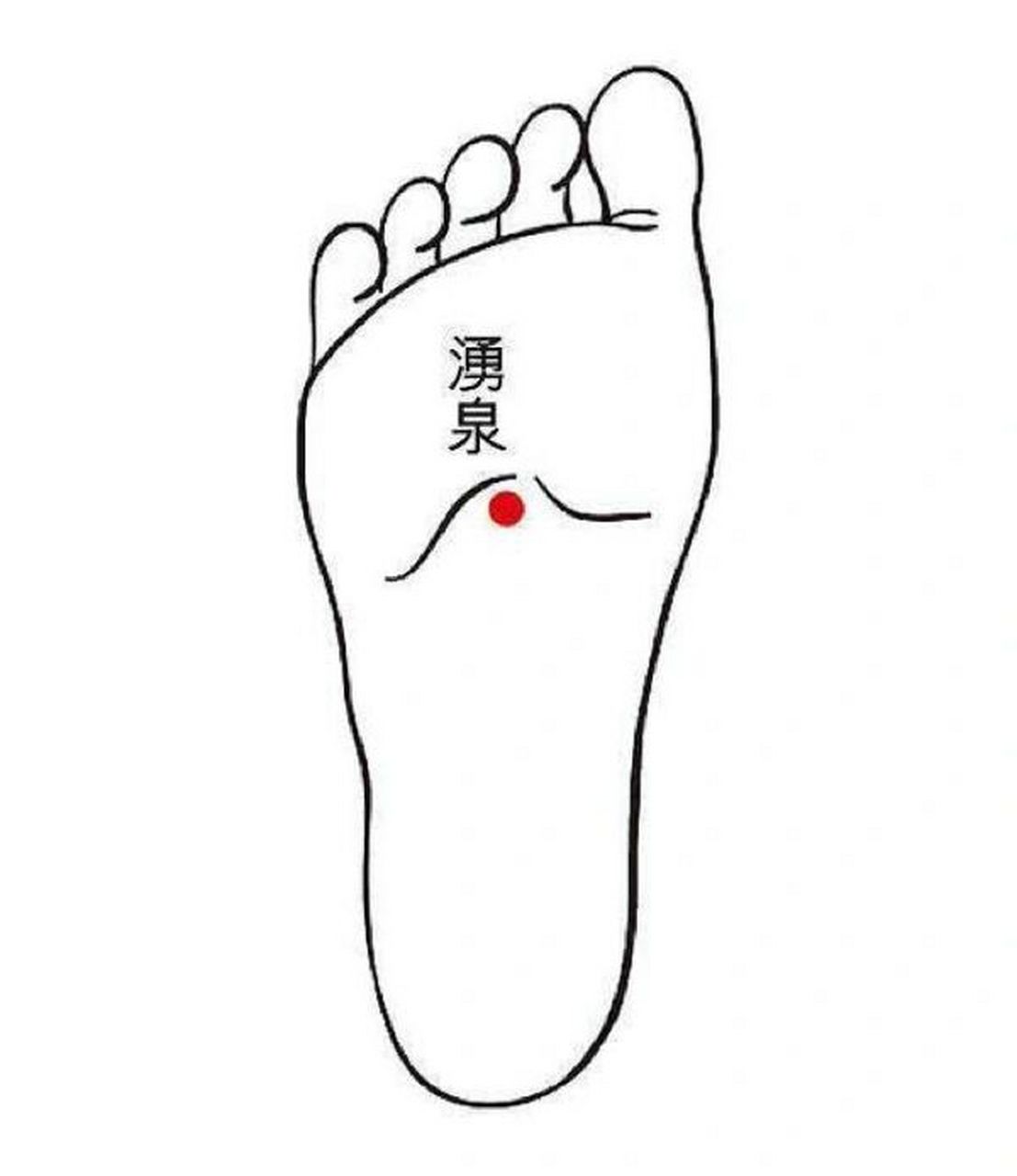 穴位介绍--涌泉穴 1.所属经络:足少阴肾经 2.