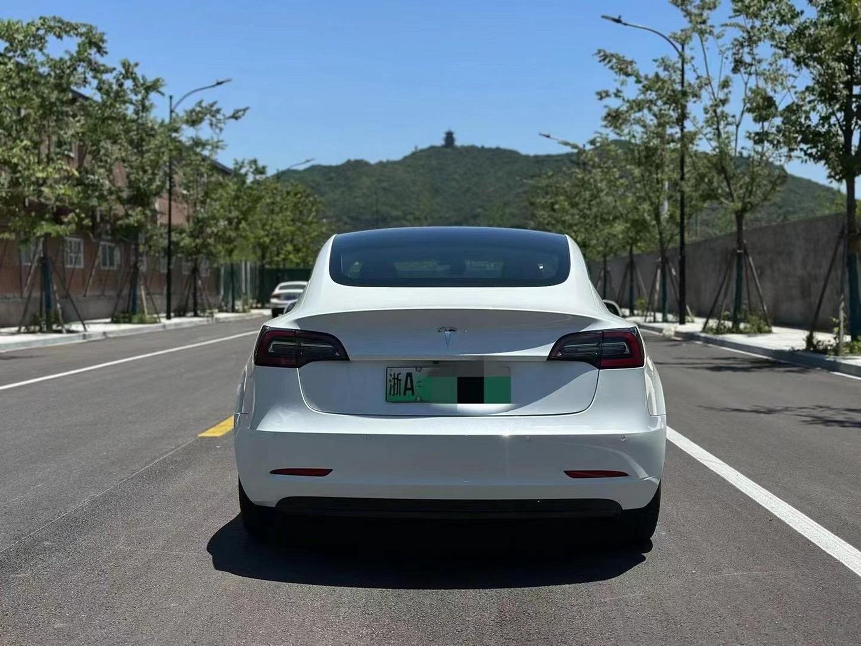 特斯拉 model 3(进口) 2019款 标准续航后驱升级版.19年上牌,3.