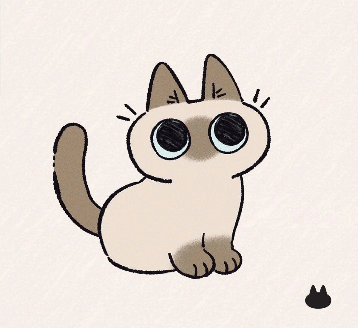 暹罗猫小豆泥来啦