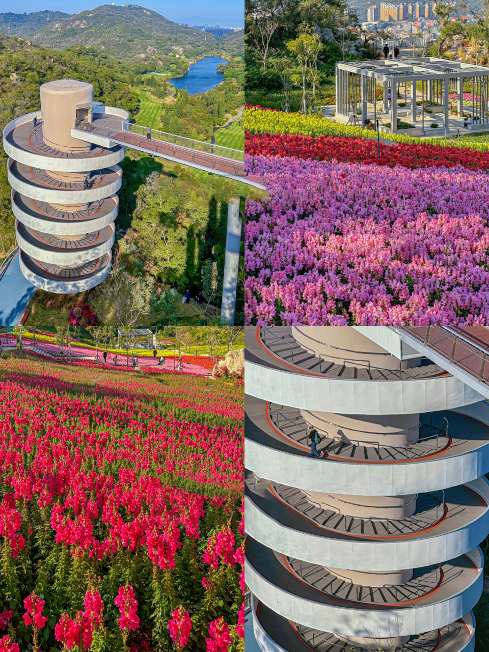 厦门新开山海步道推荐漫步路线!