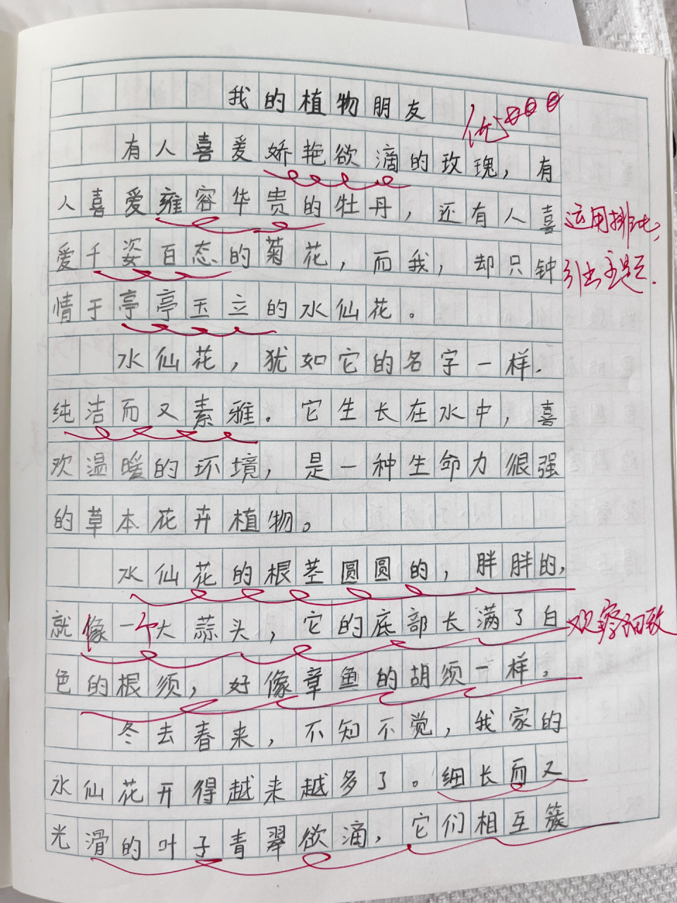 三年级优秀写植物作文(三年级优秀写植物作文郁金香)