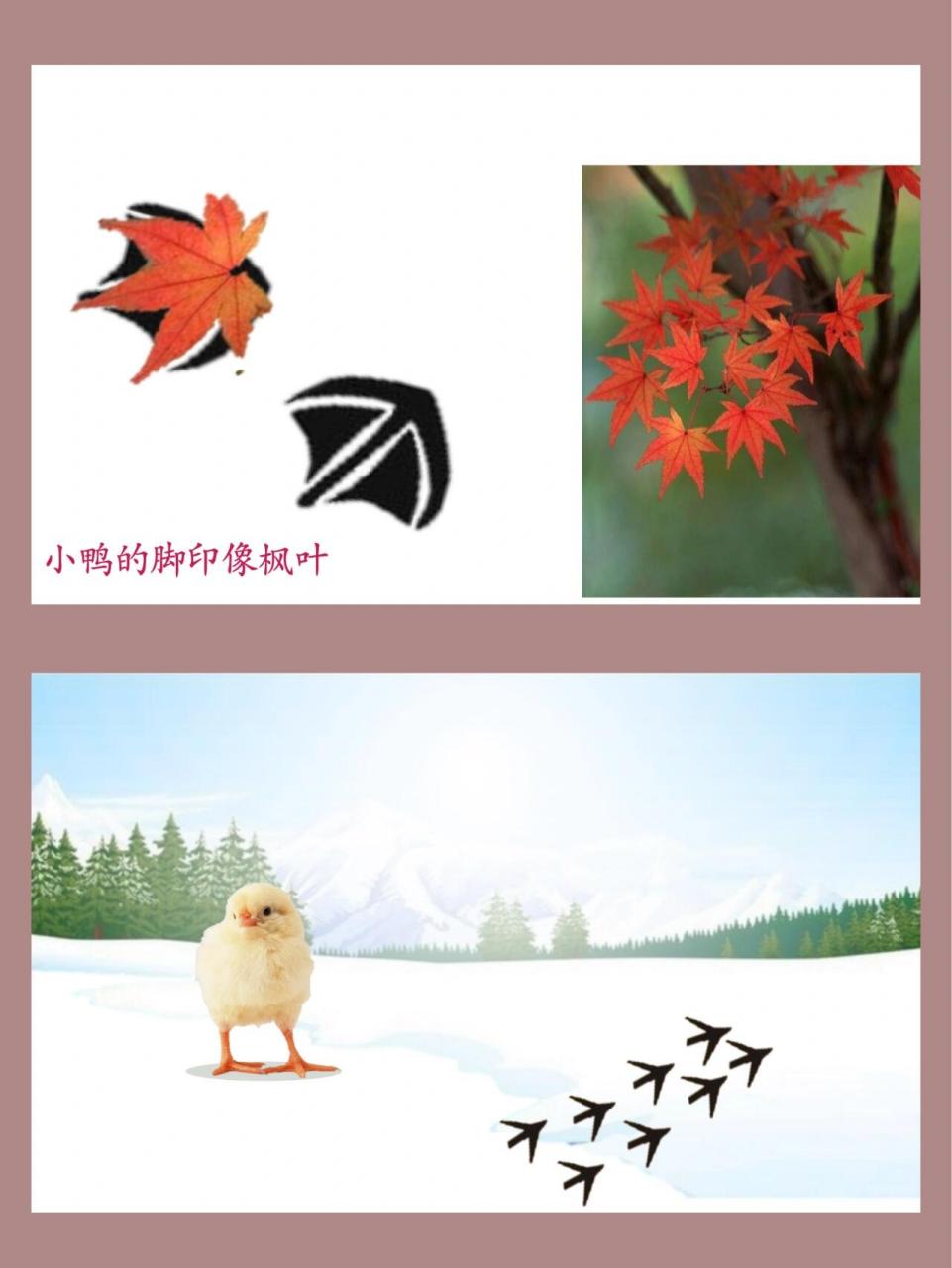 幼儿园ppt|小班科学|《谁的脚印》 幼儿园ppt 教案|小班科学|《谁的