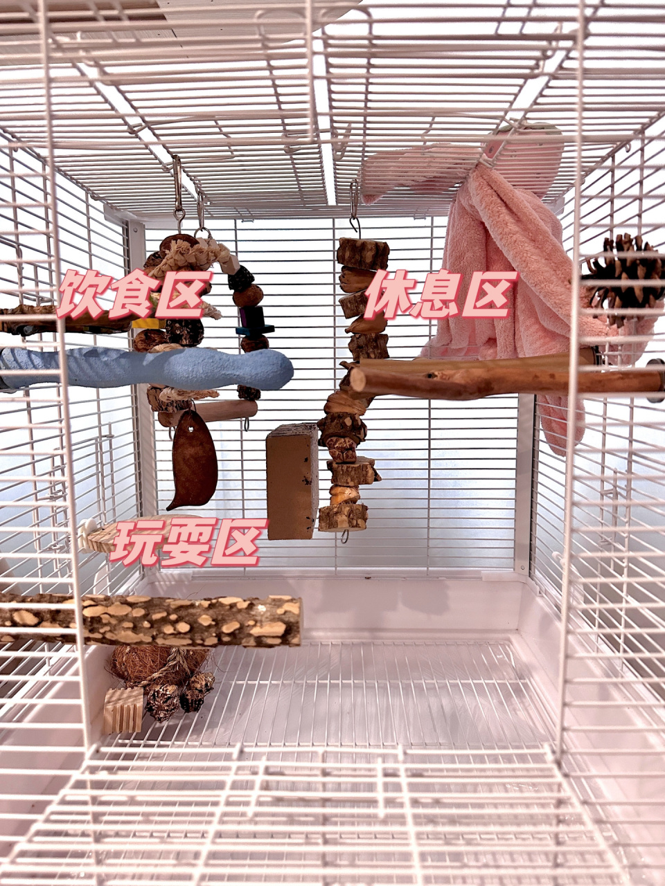 鹦鹉笼子布置分享 以及安全玩具 最喜欢给小鸡装修家了 笼内布置我会