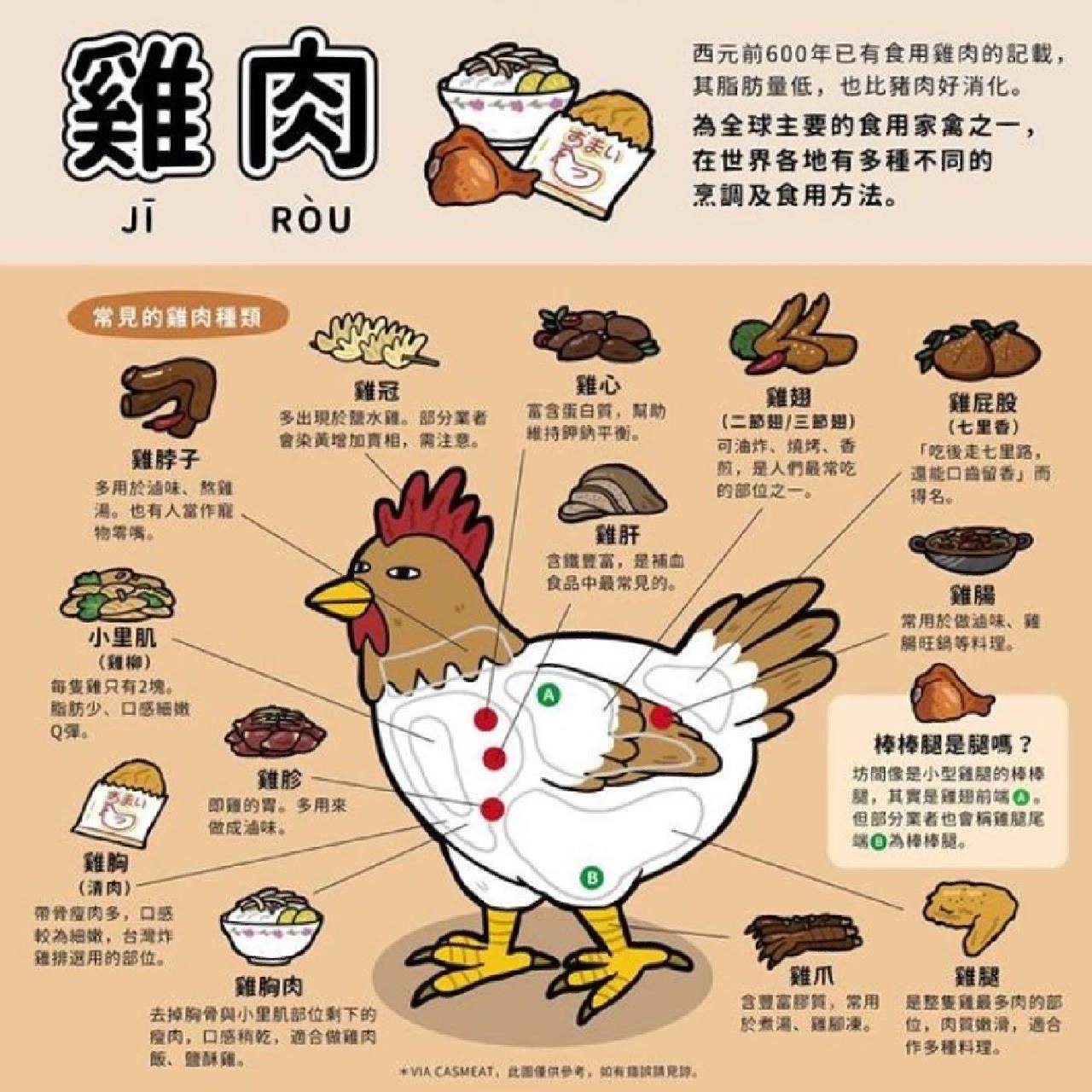 鸡的各个部位名称 鸡的各个部位名称