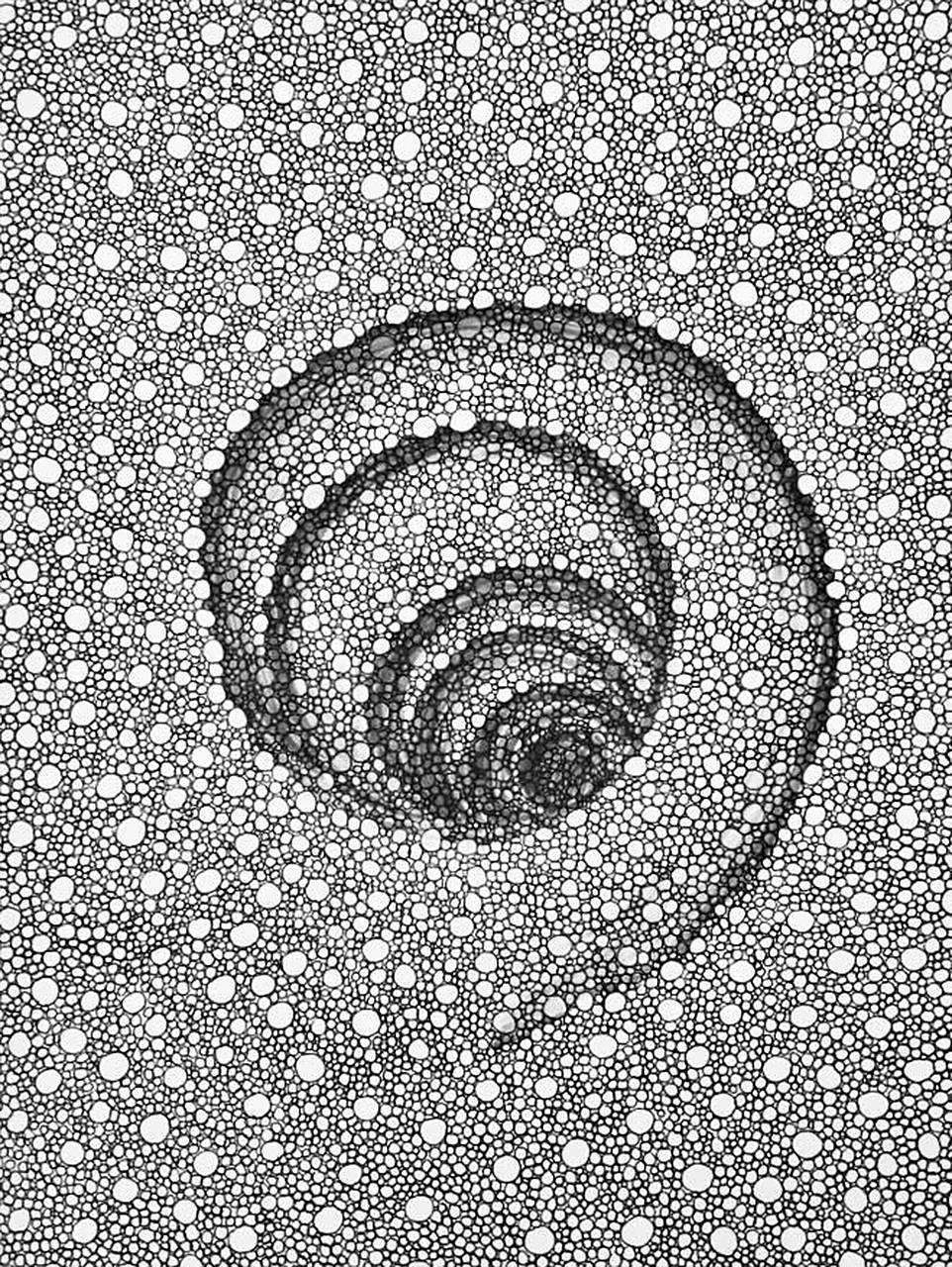 线条创意画-画出立体感