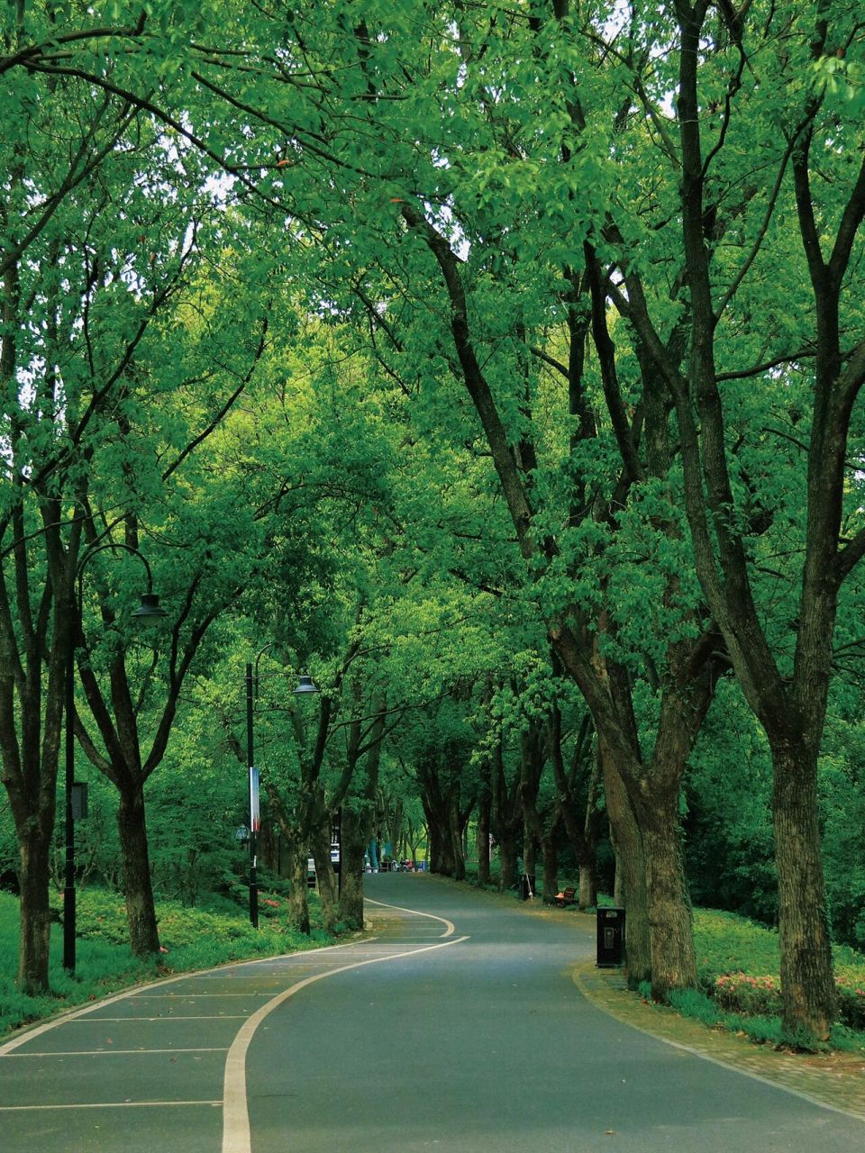 01马鞍山森林公园 我可太喜欢森林公园了 在东湖的众多景区里,森林