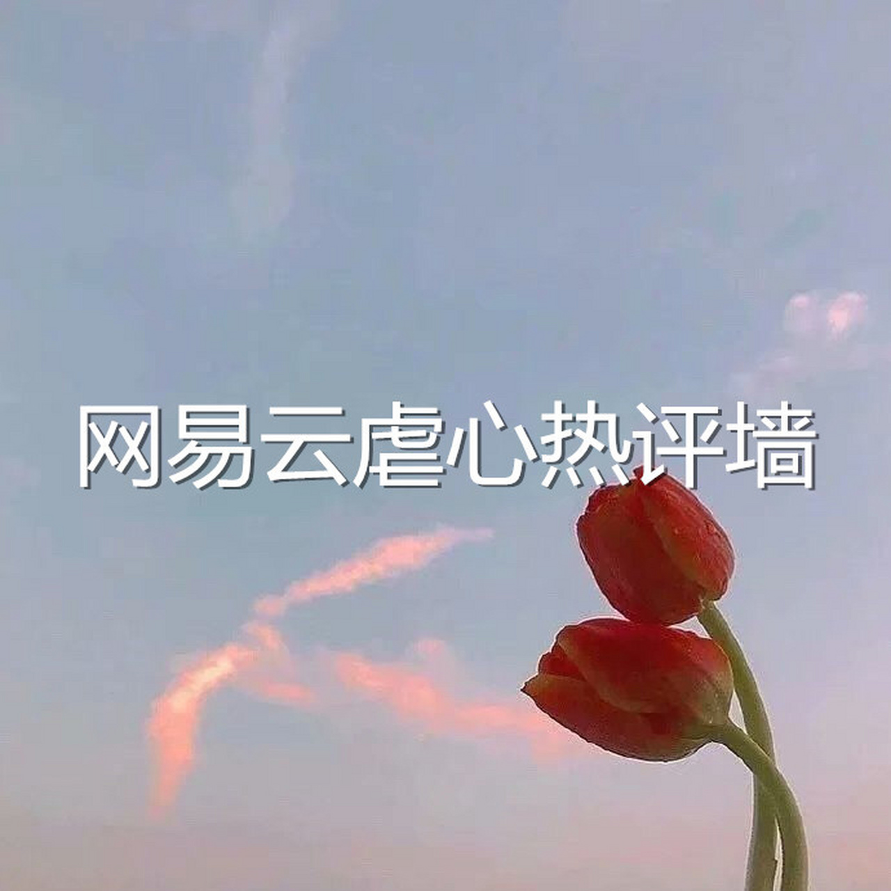 网易云音乐热评《夏天的