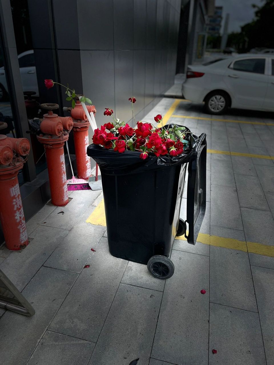 垃圾桶收到花图片