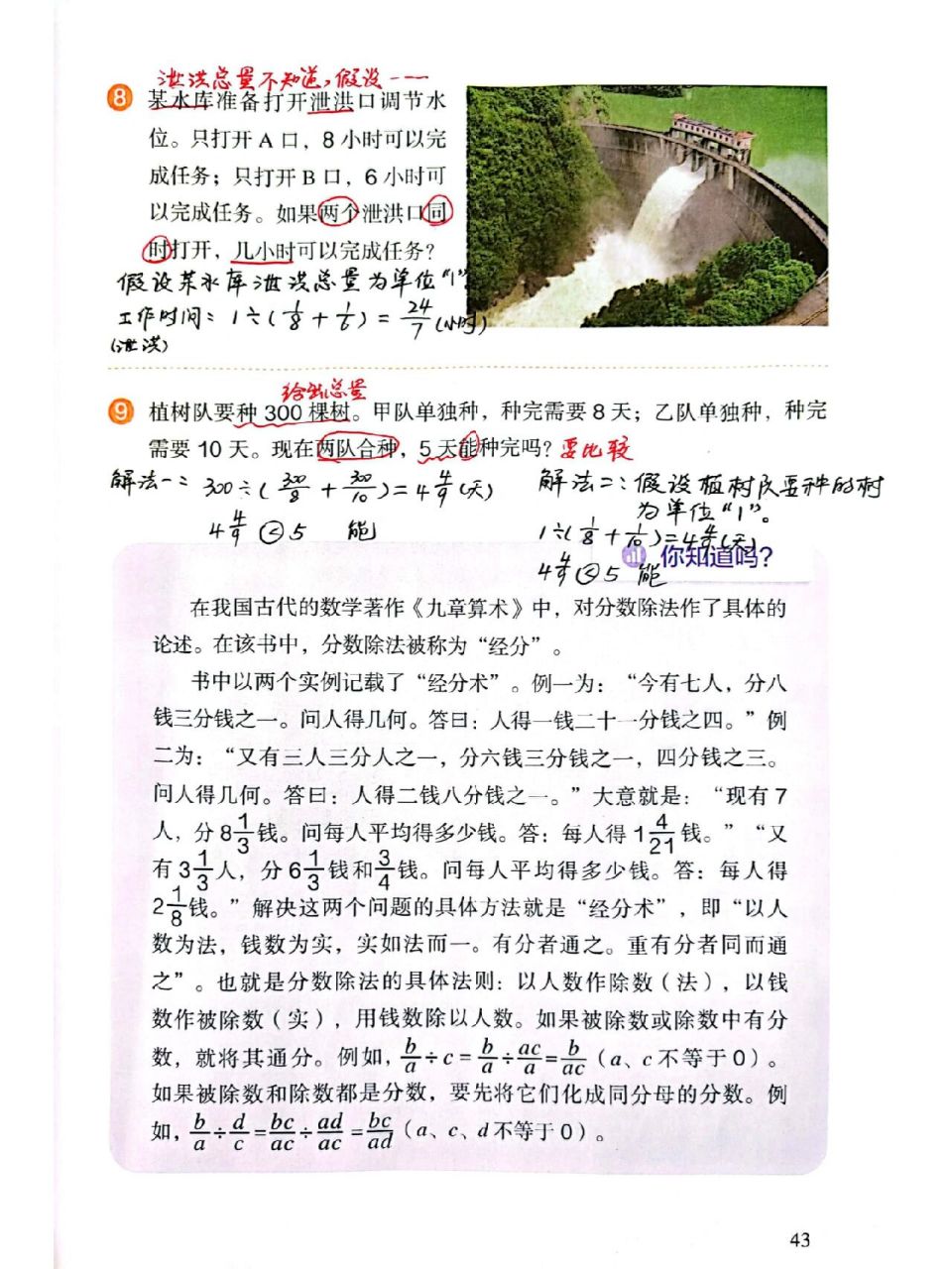 新版六年级上册数学|参考答案|练习九
