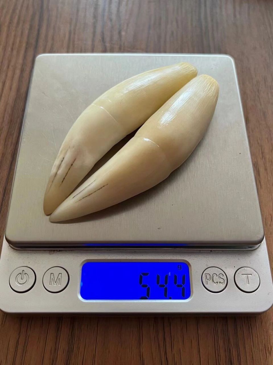 虎牙骆驼牙狼牙大猫牙喜欢联系