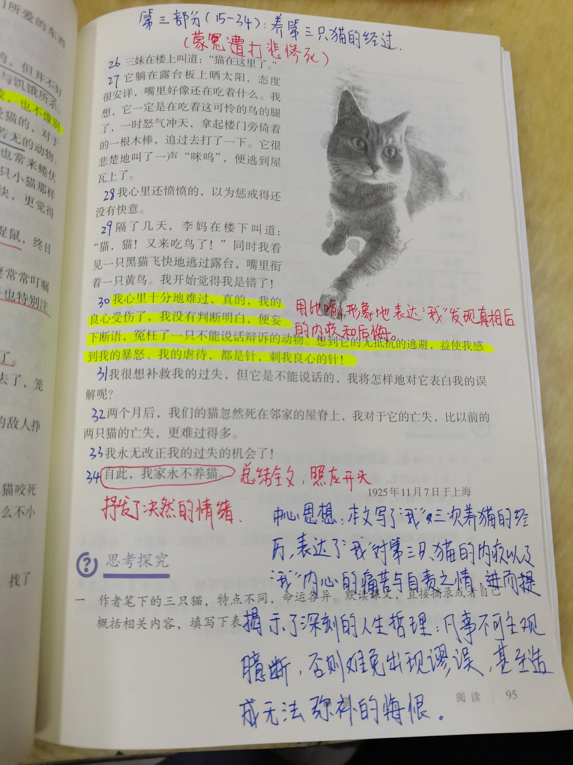 《猫》课文笔记图片图片