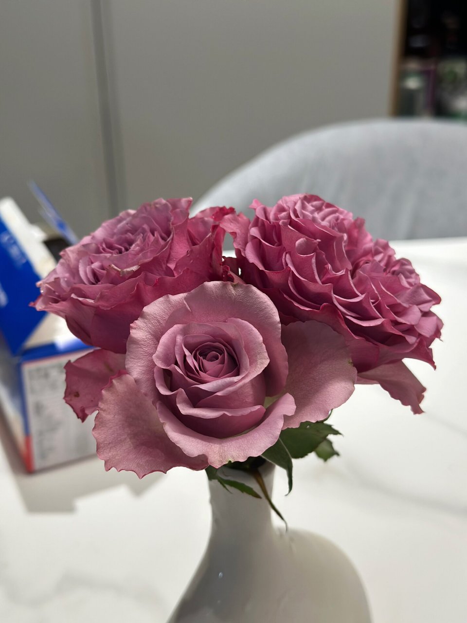 蒙特马特 月季 复古色的感觉,花形很正,杆子还蛮直的,挺适合剪下来插