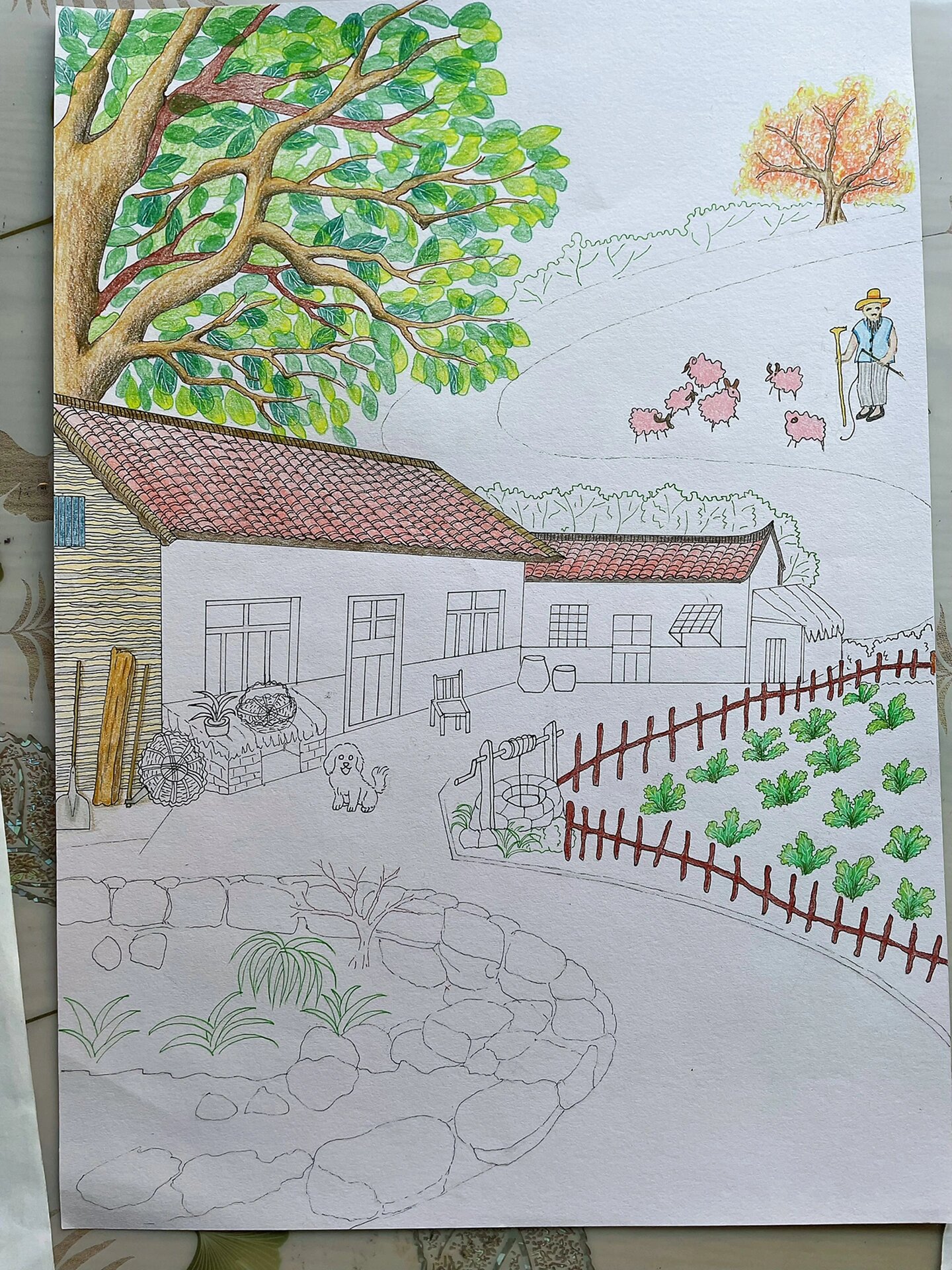 彩铅画,农家院