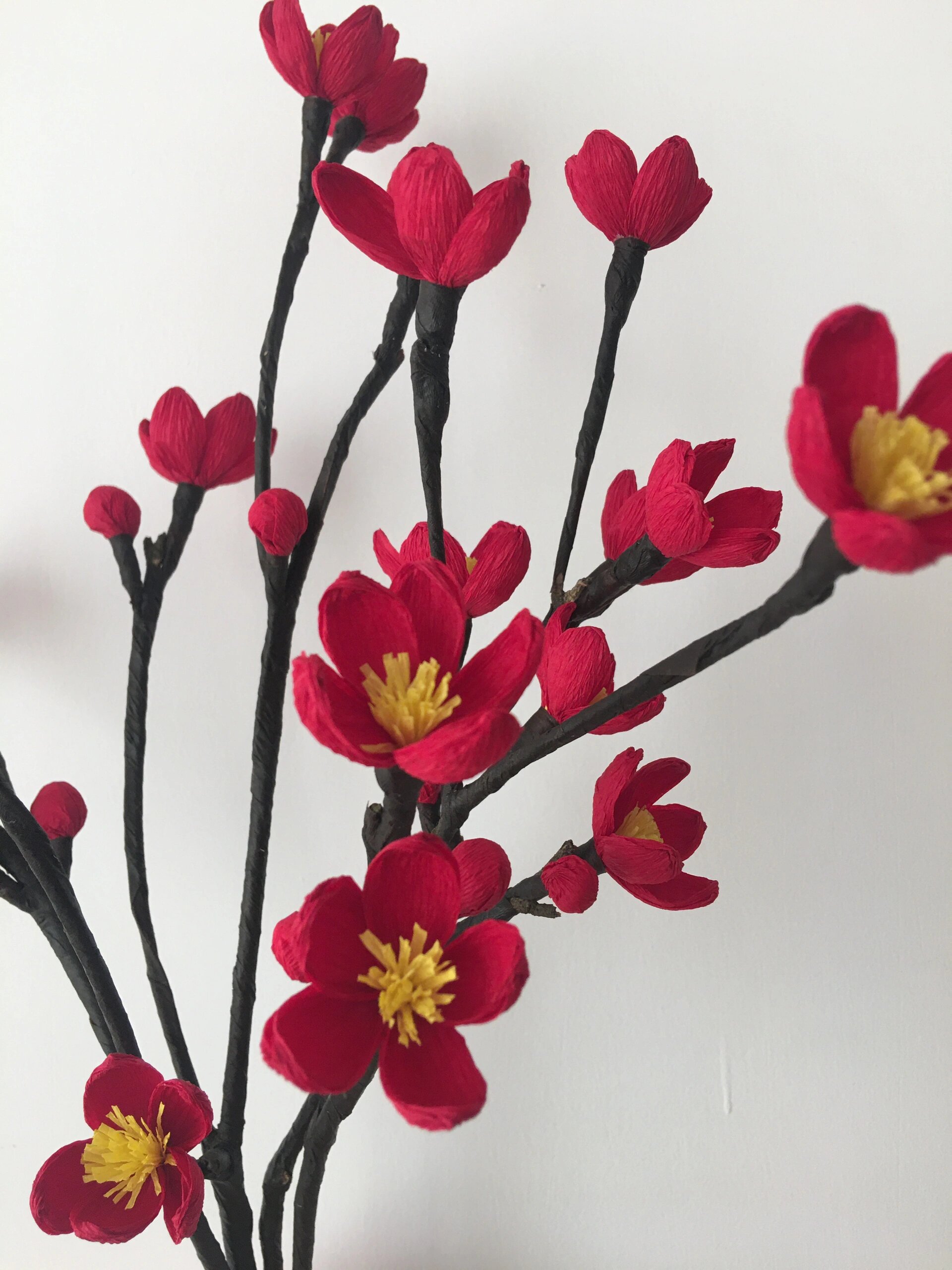 皱纹纸梅花及教程